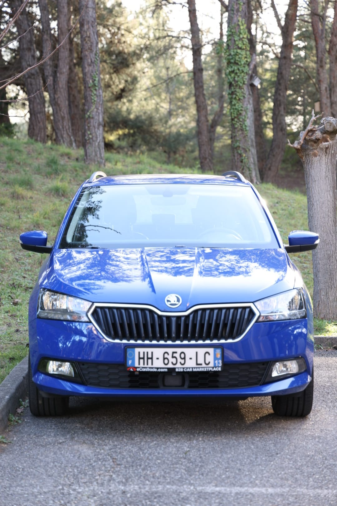 Skoda Fabia Combi avec Apple CarPlay