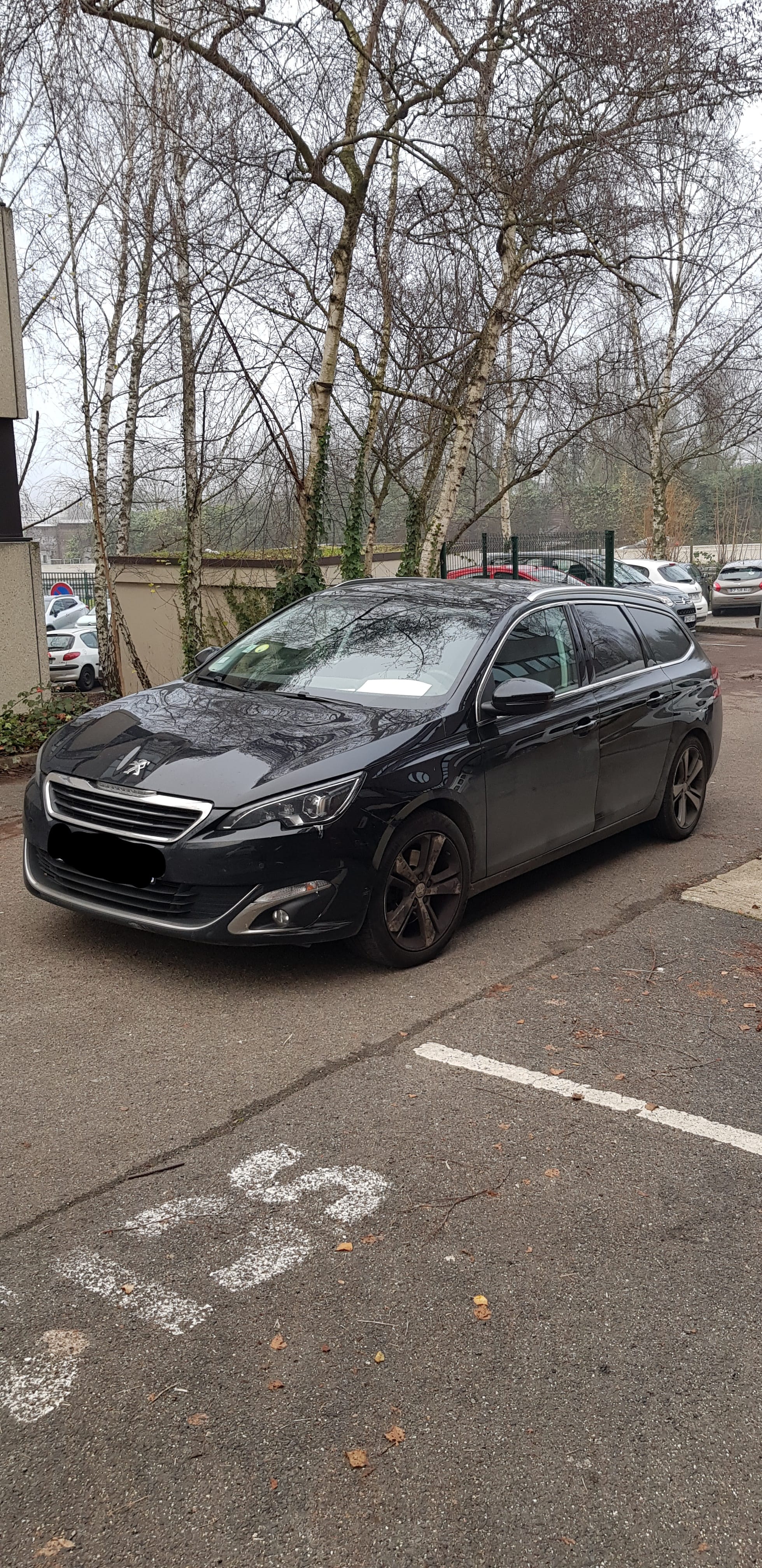Peugeot 308 SW avec Régulateur de vitesse
