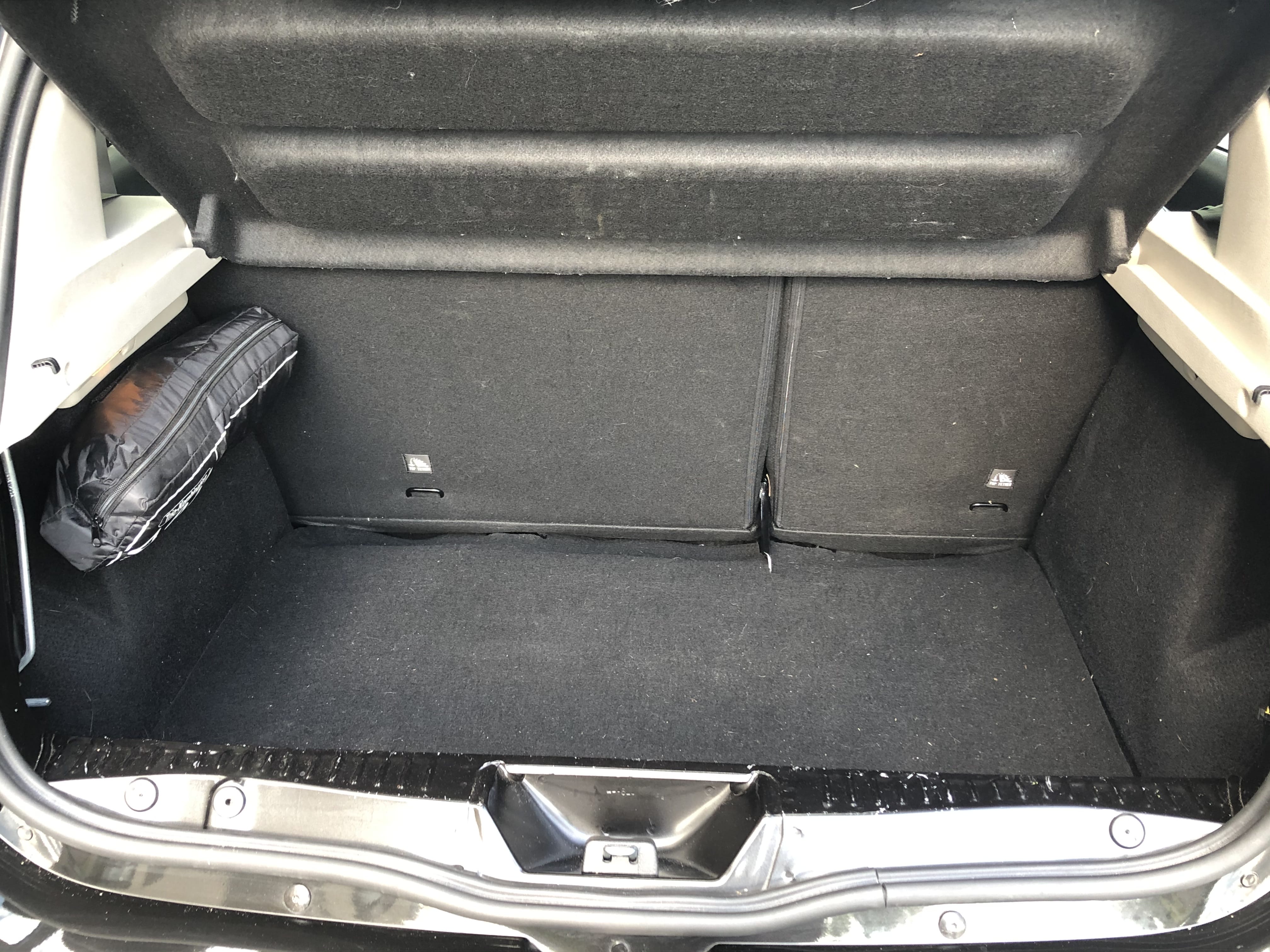 Dacia Sandero Stepway mit Kindersitz