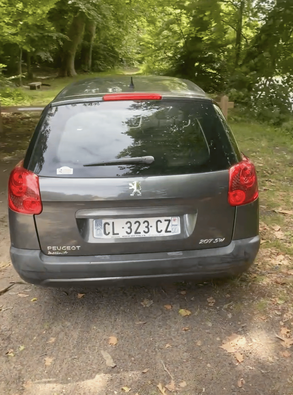 Peugeot 207 SW met Cruise control