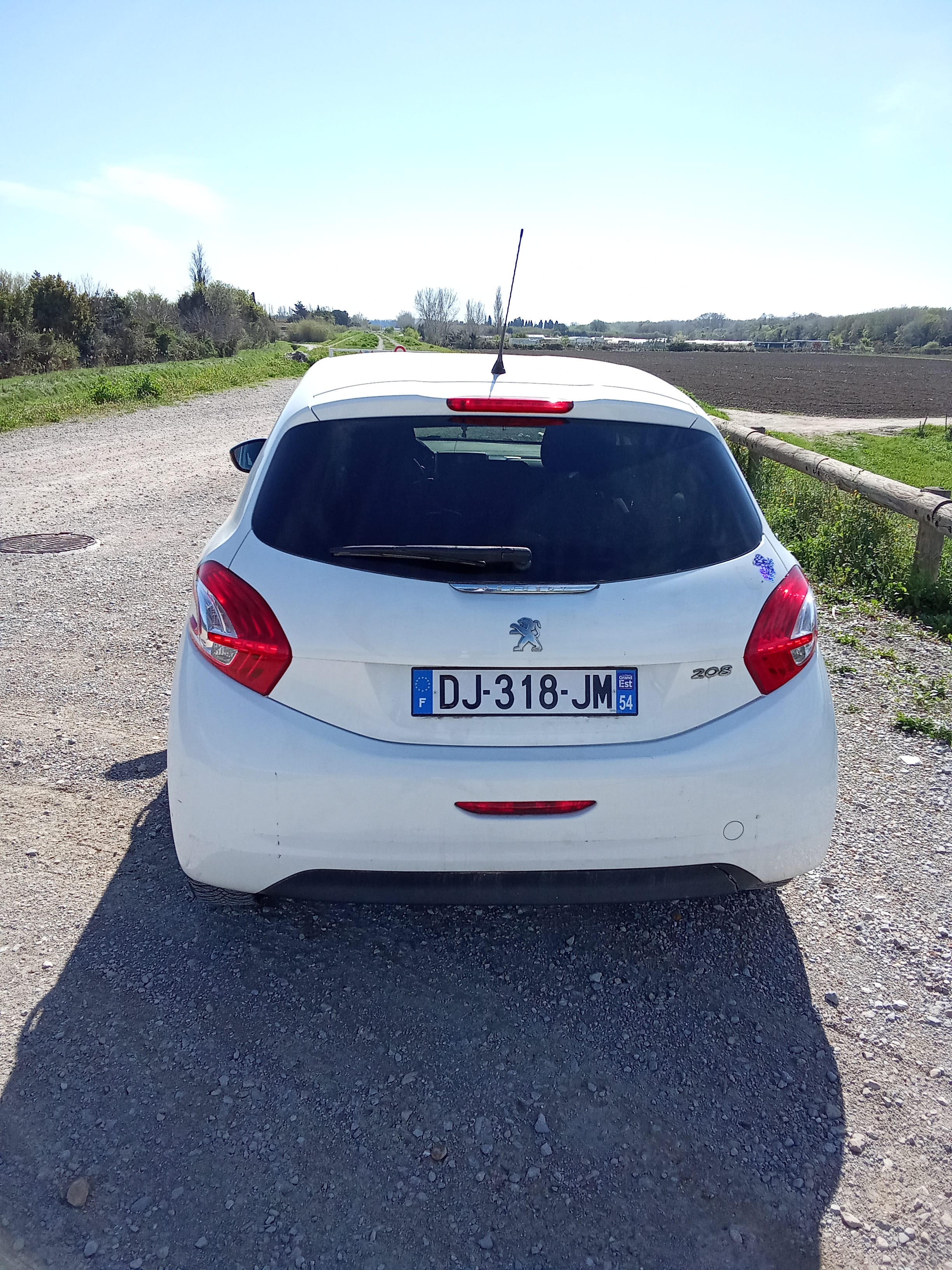 Peugeot 208 avec GPS