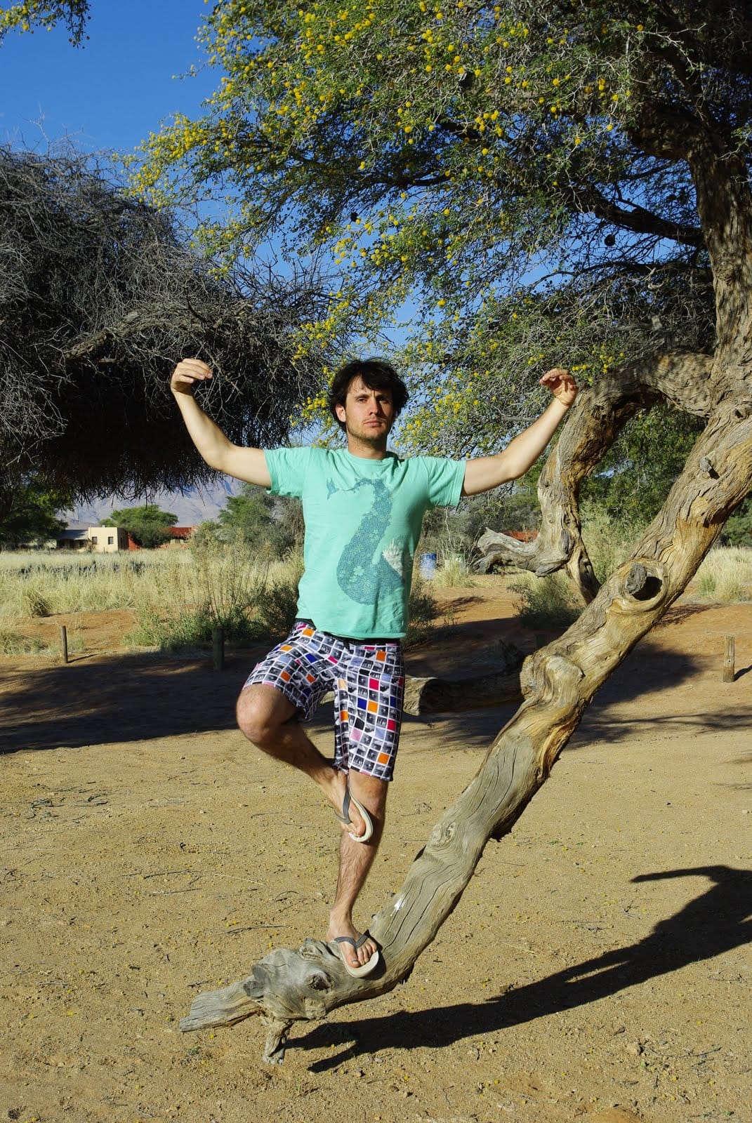 Thibault