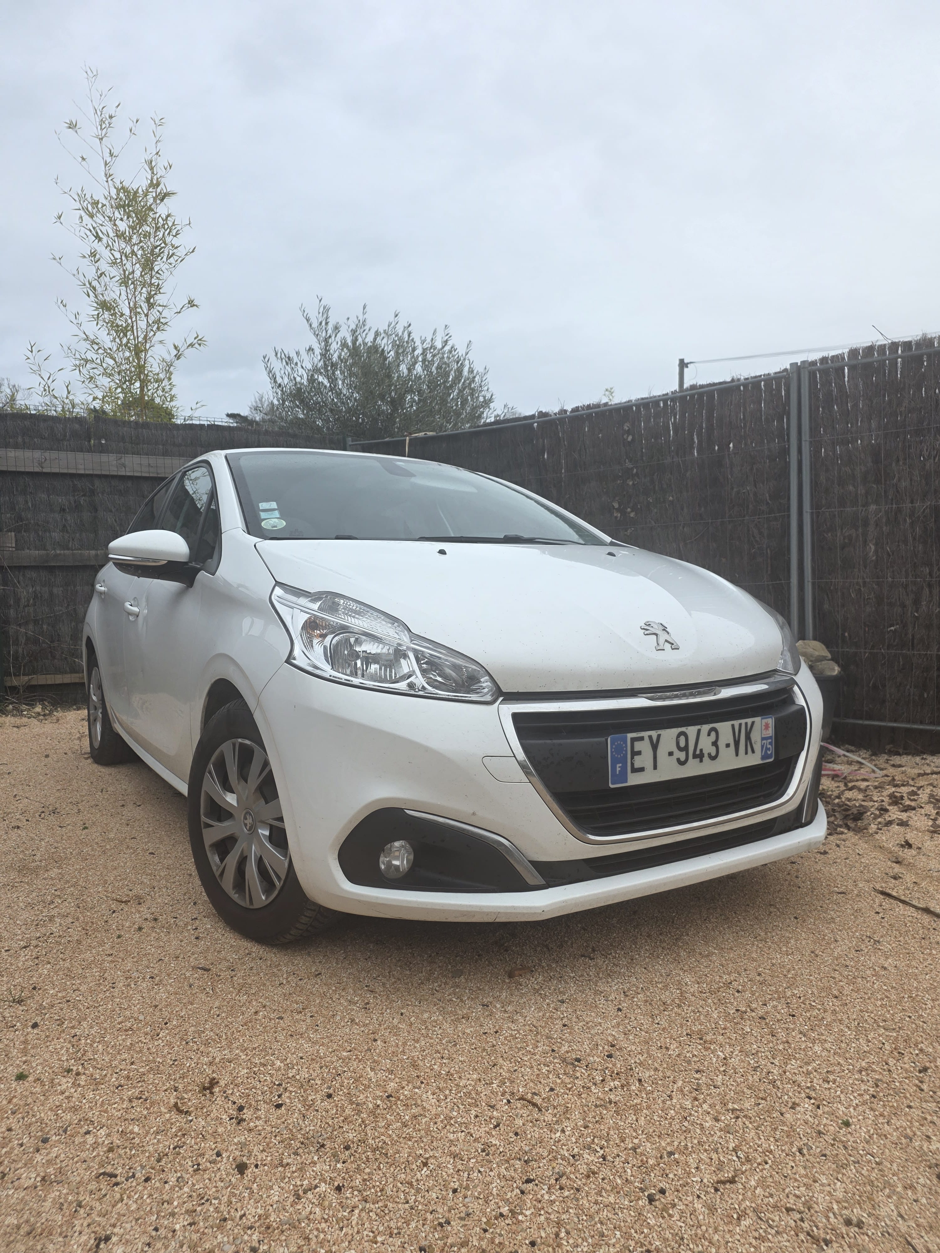 Peugeot 208 Société, 2018, Diesel
