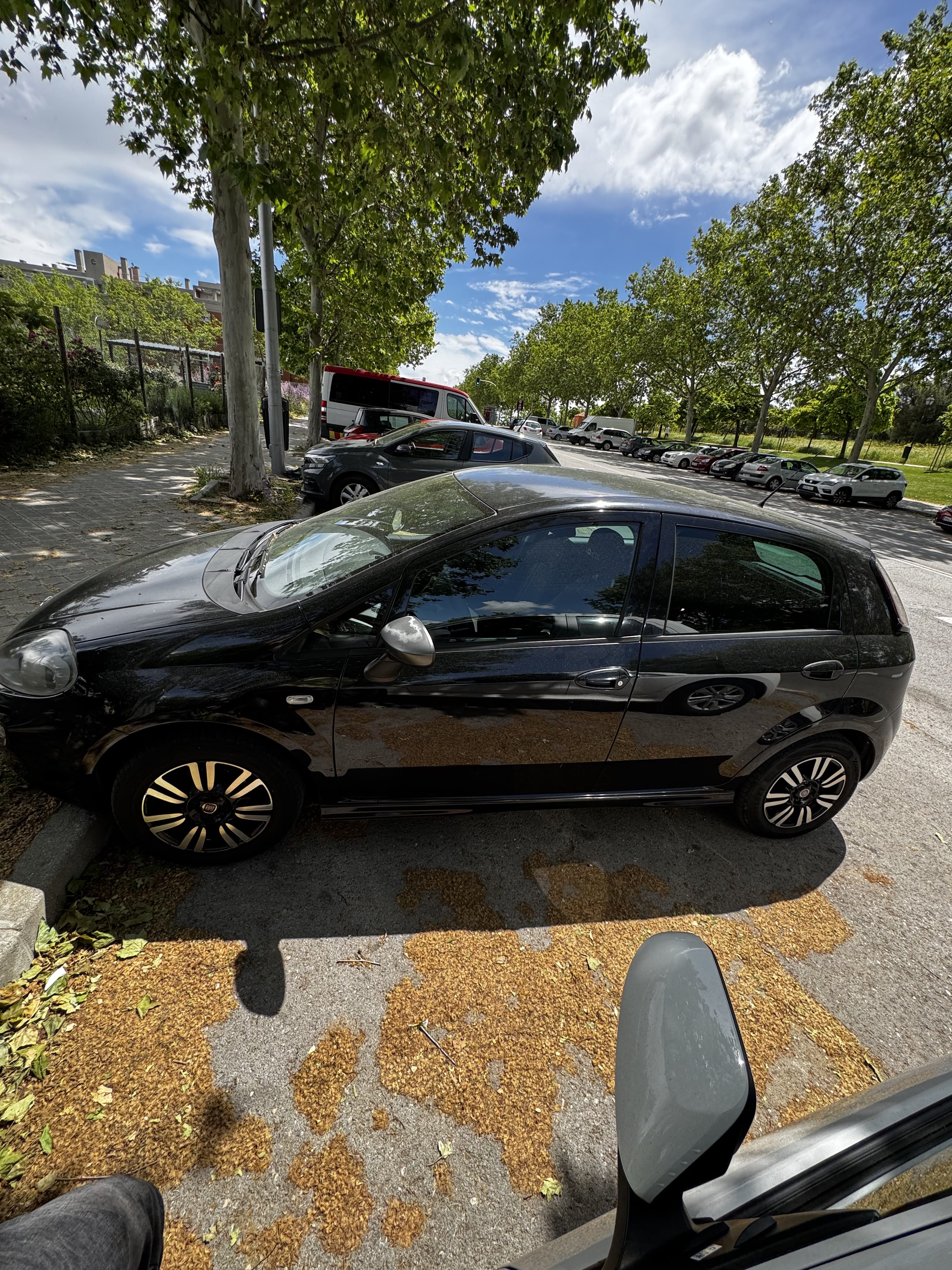 Fiat Punto con Aire acondicionado