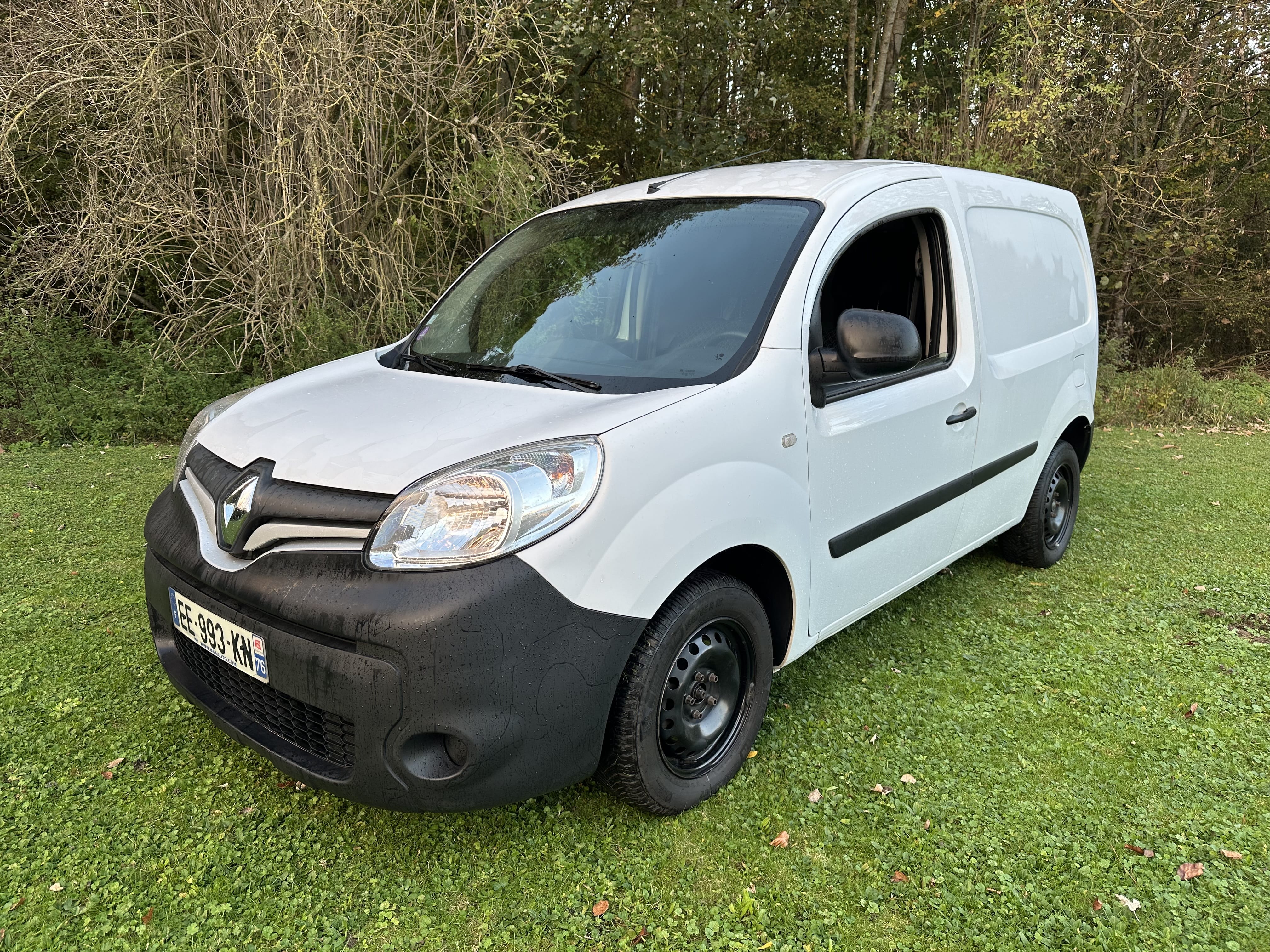 Renault Kangoo Fourgon, 2016, Essence 95