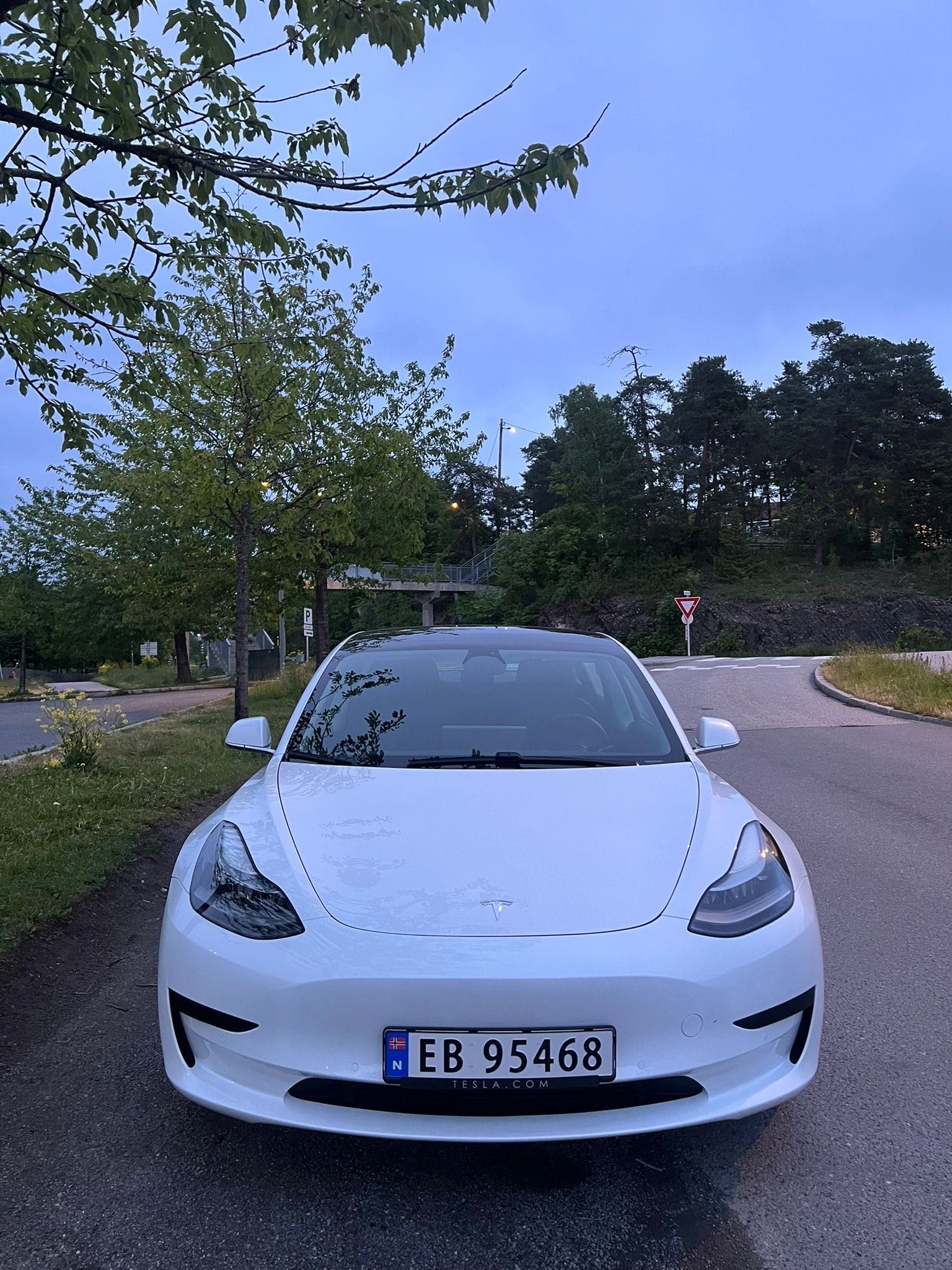 Tesla Model 3 Standard Range Plus, 2020, Elektrisk, automatisk