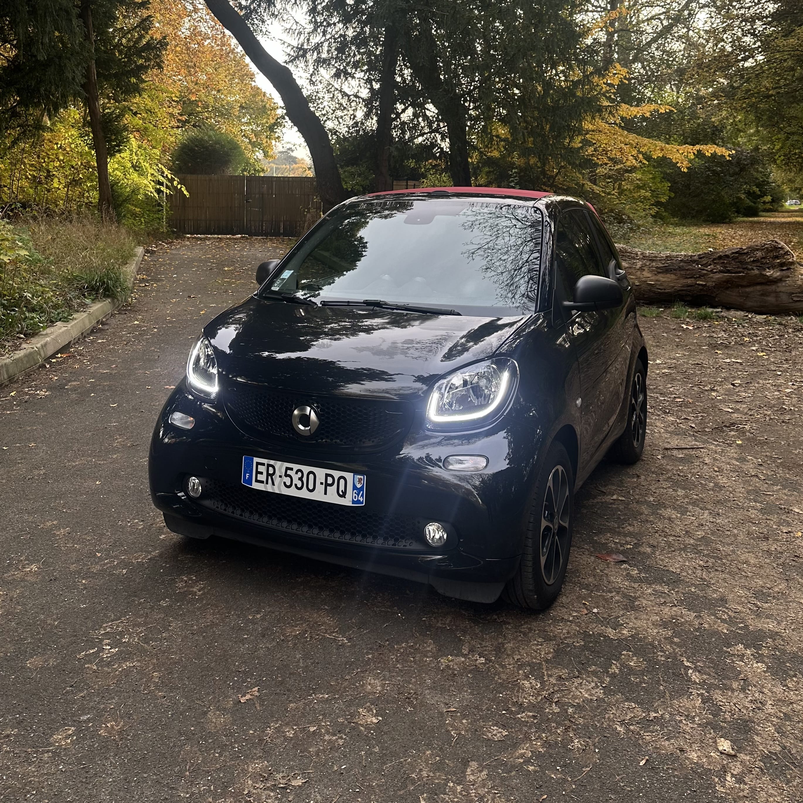 Smart Fortwo Cabriolet, 2017, Essence 95, automatique