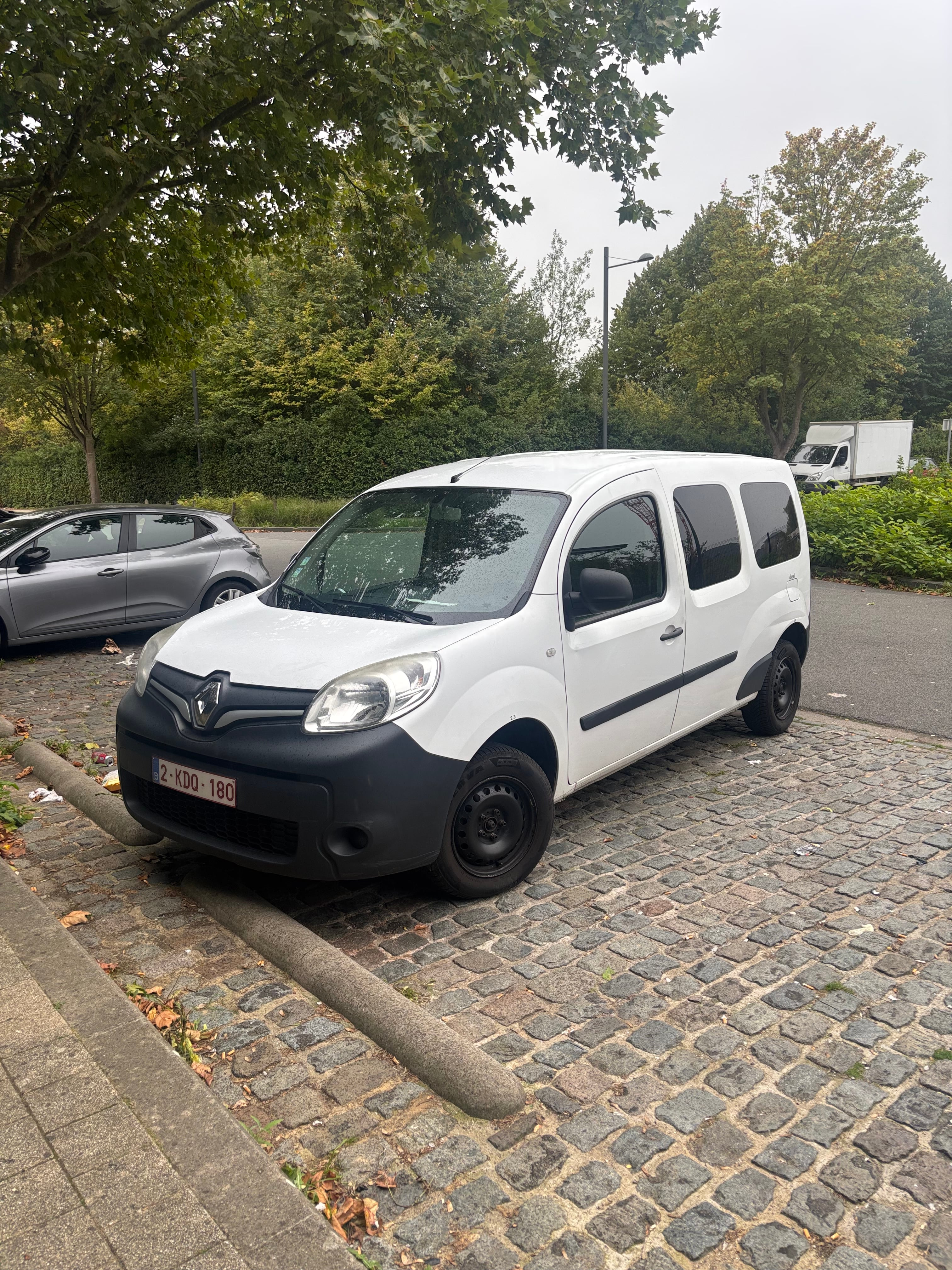 Renault Kangoo Fourgon 1.5 DCI, 2019, Diesel (B7)