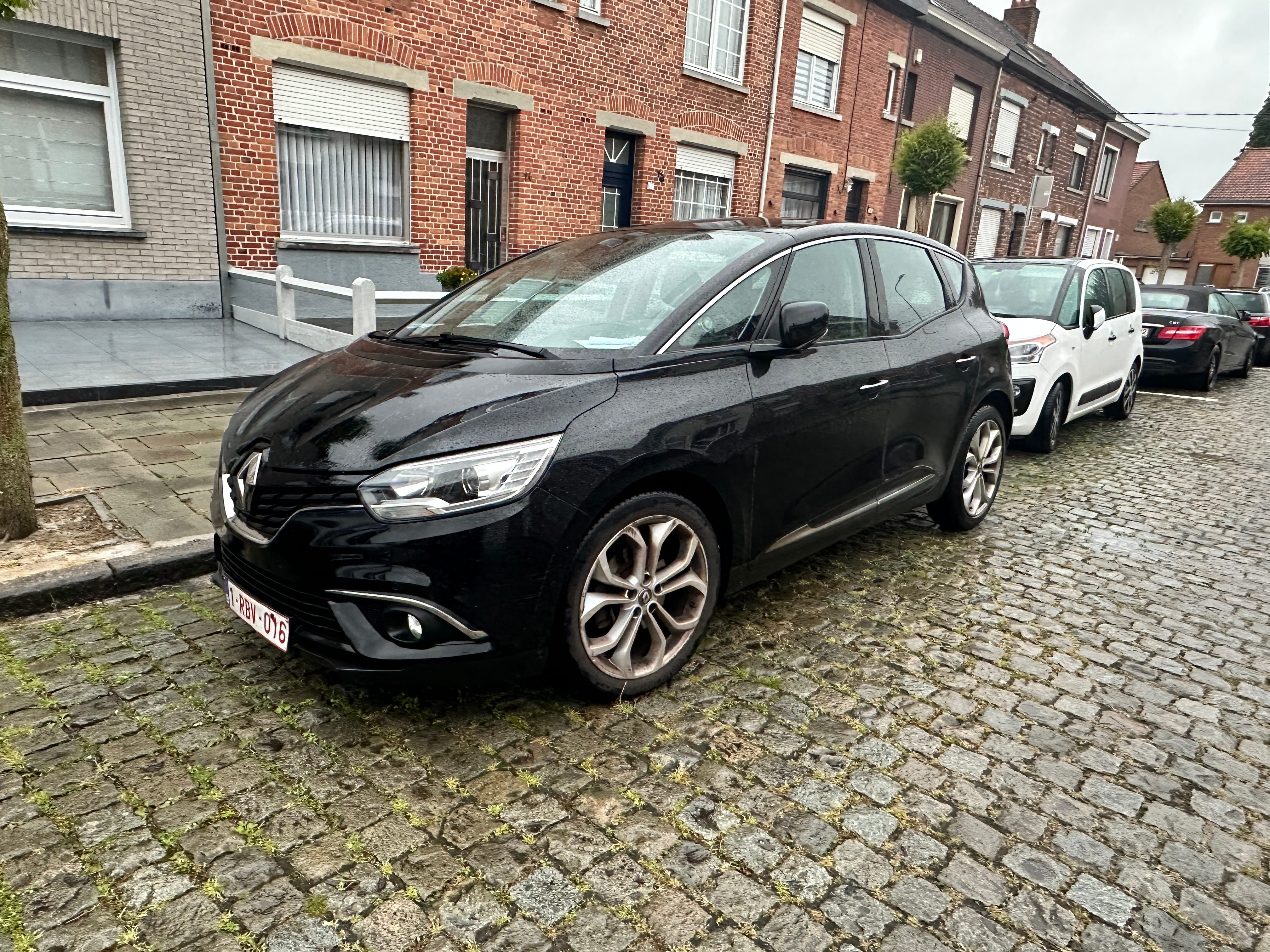 Renault Scenic, 2017, Euro 95 (E10)