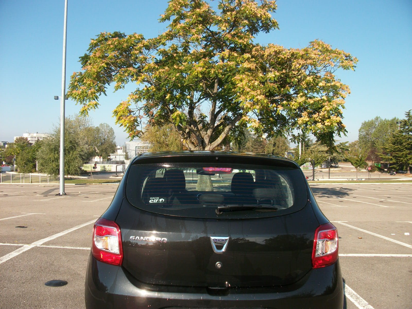 Dacia Sandero Ambiance 1.2