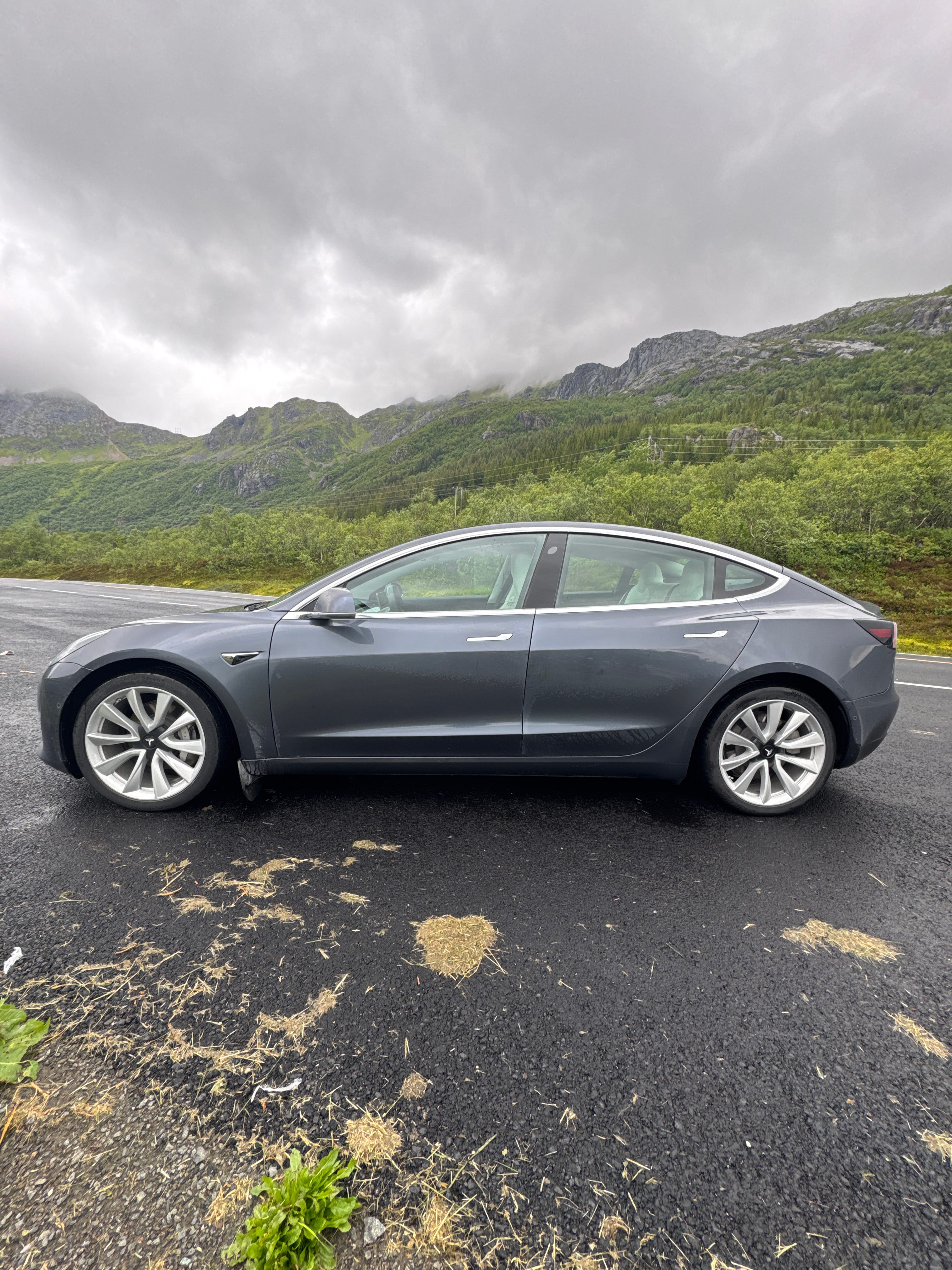 Tesla Model 3 Long Range med Cruisekontroll