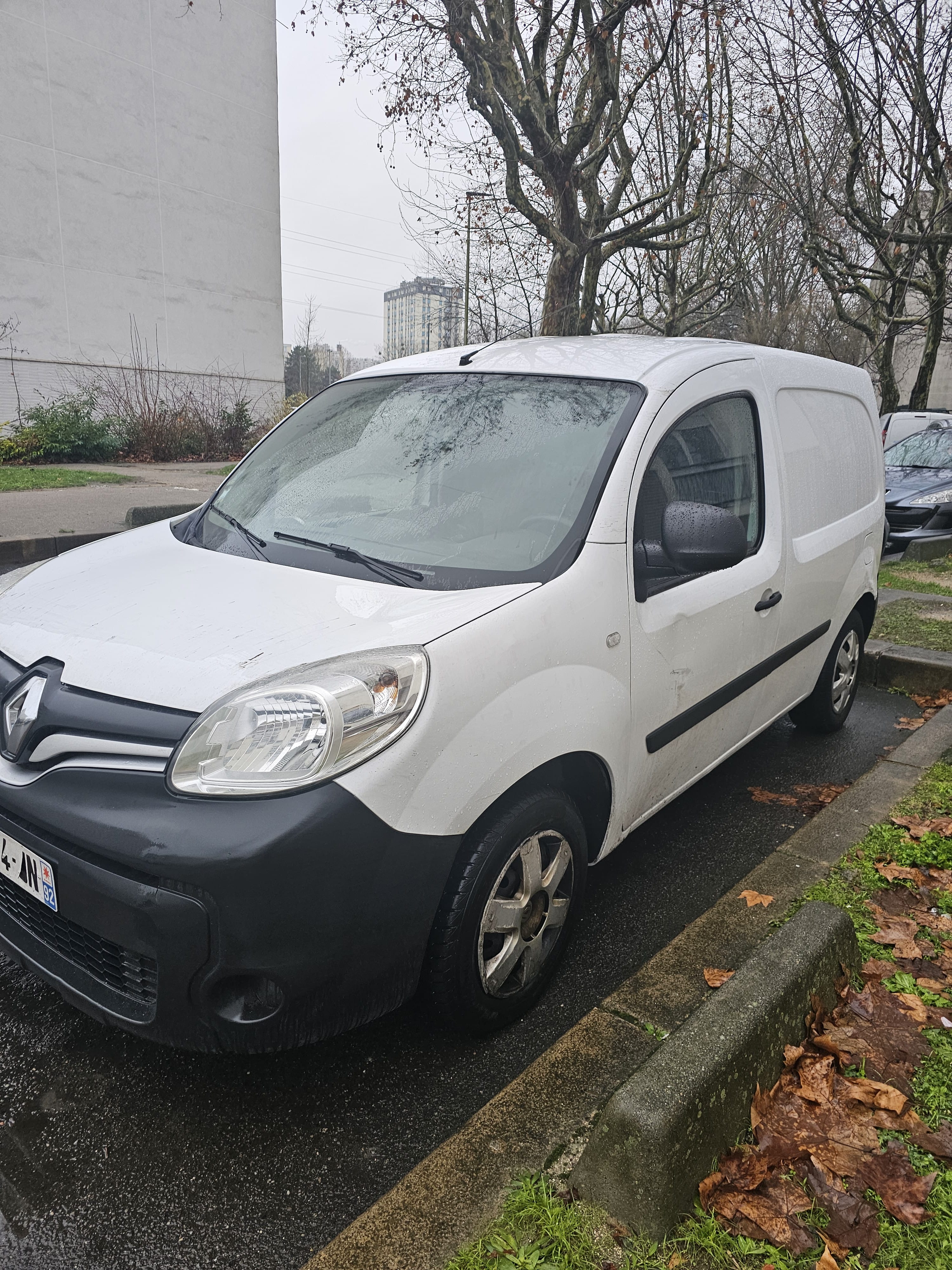 Renault Kangoo Fourgon, 2017, Diesel