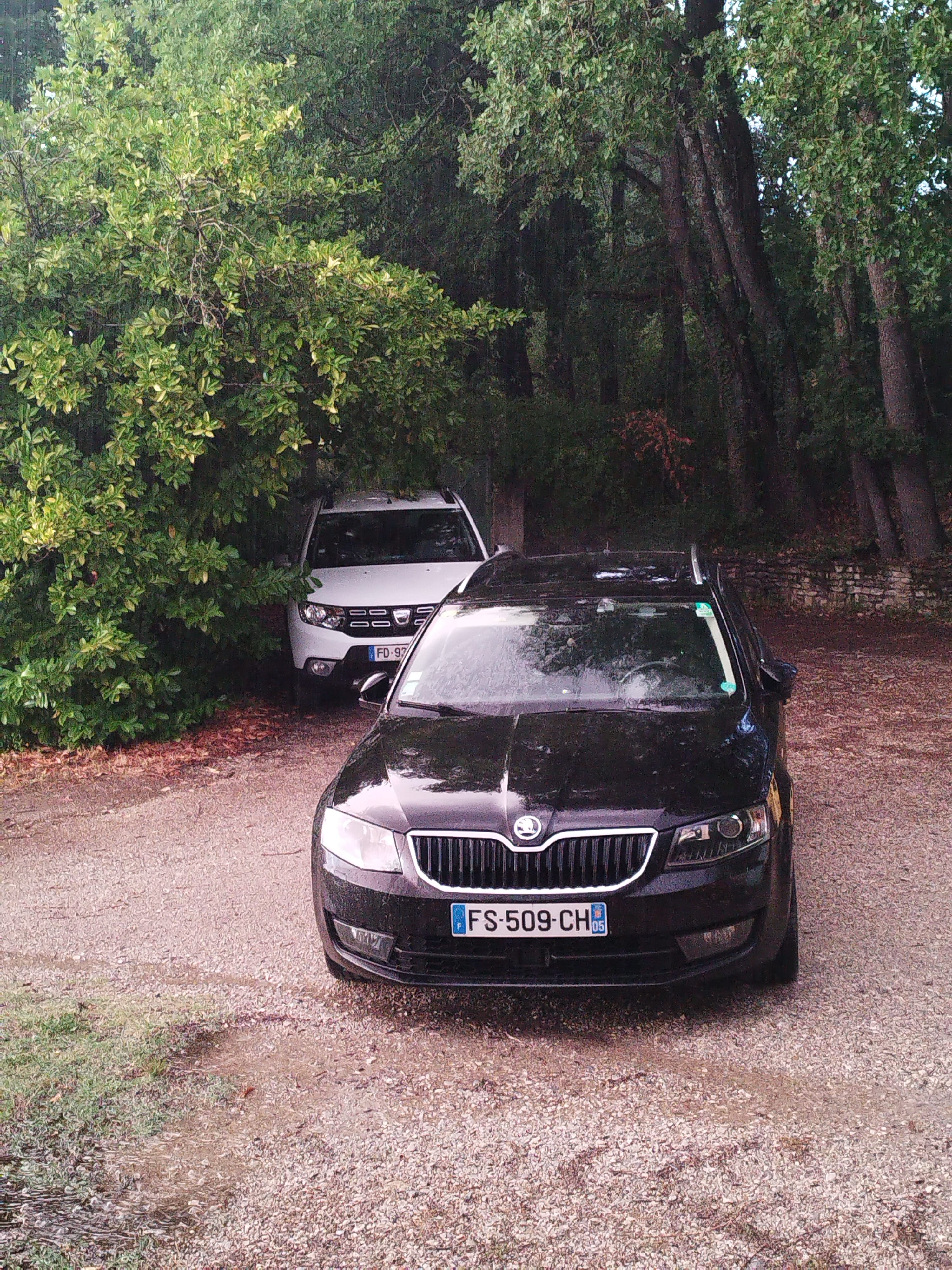 Skoda Octavia Octavia "premium" avec Coffre de toit