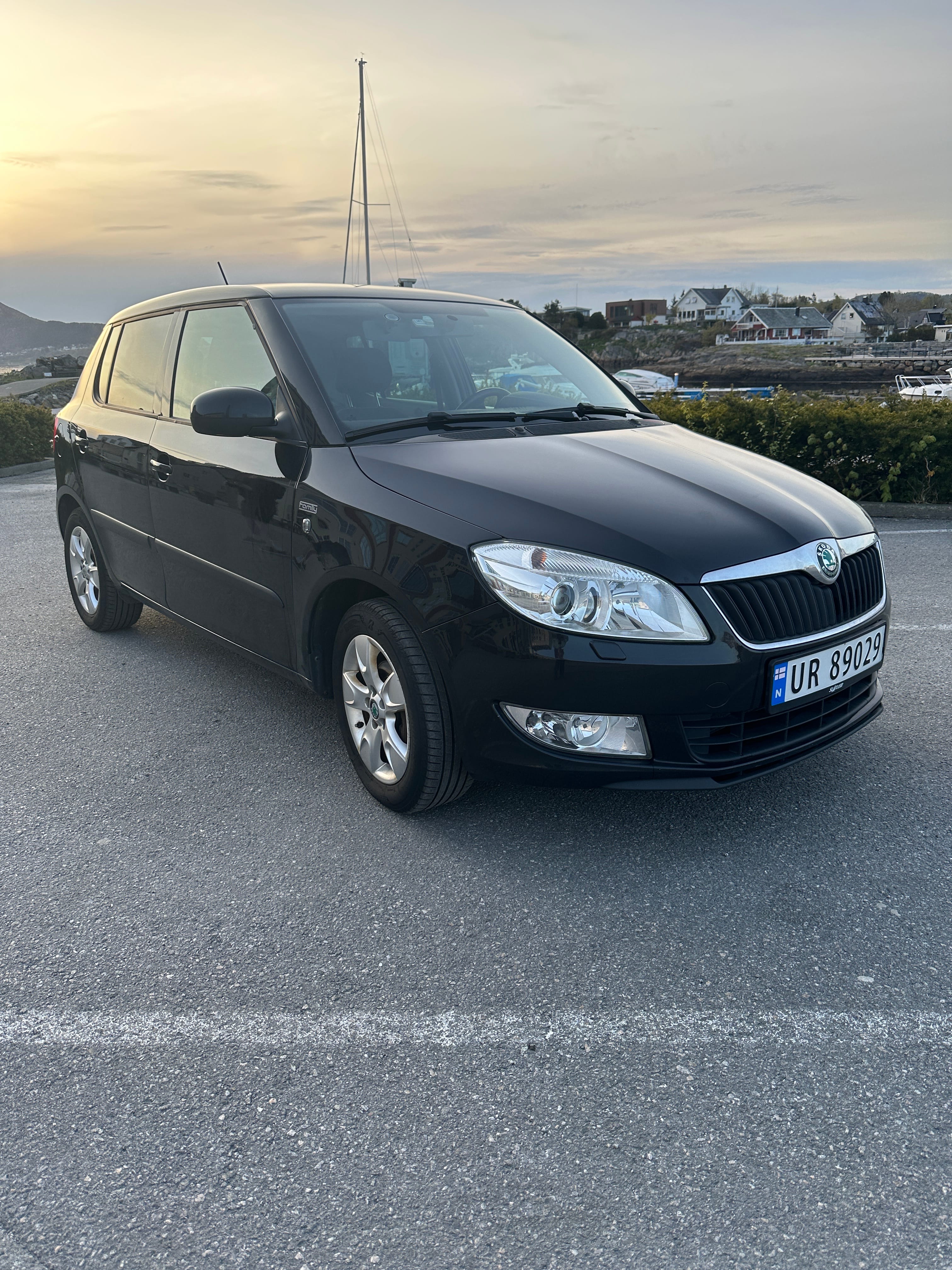 Skoda Fabia, 2013, Blyfri 95