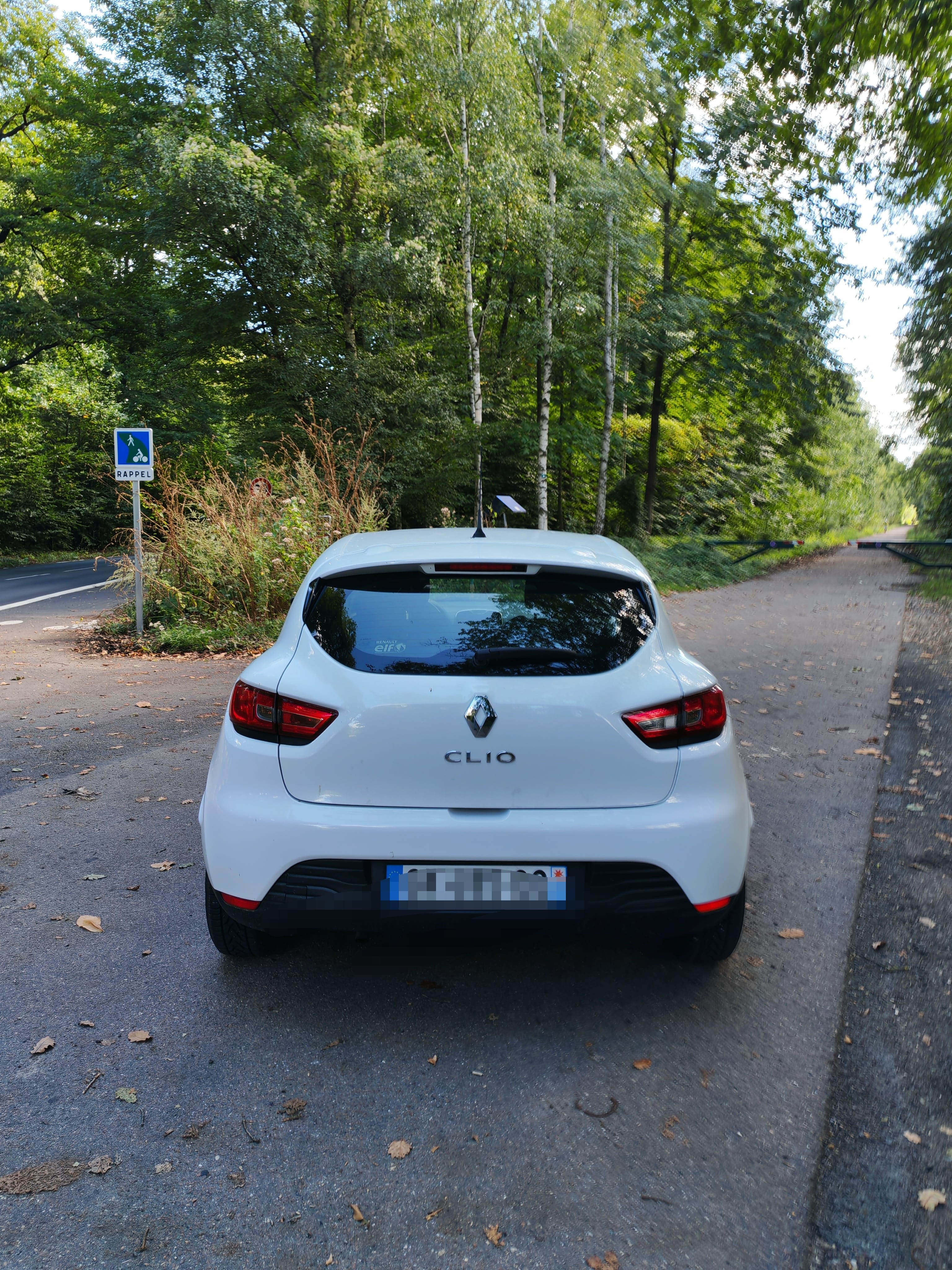 Renault Clio with Bluetooth audio