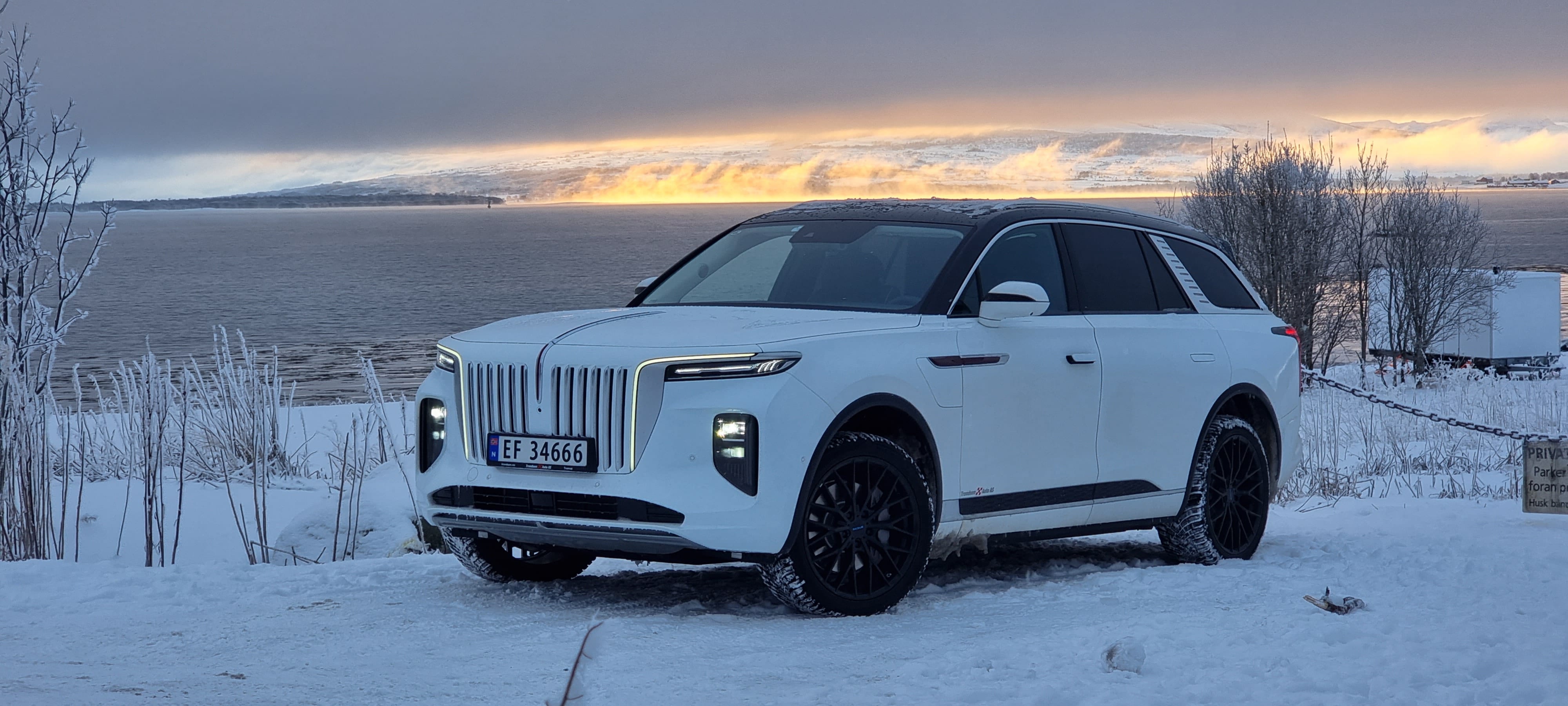 Hongqi E-HS9, 2022, Eléctrico, Automático, 6 plazas