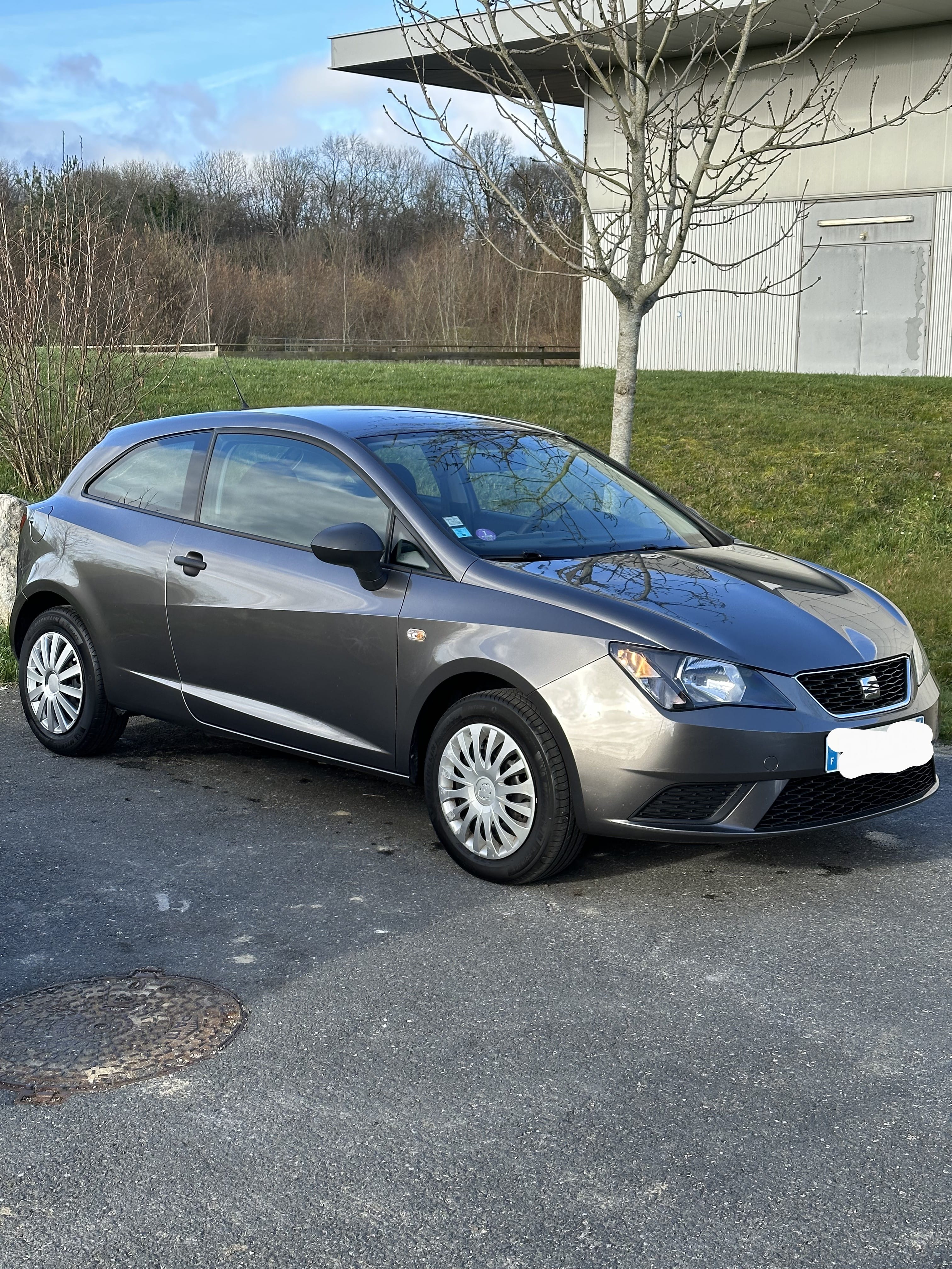 Seat Ibiza, 2016, Essence 95