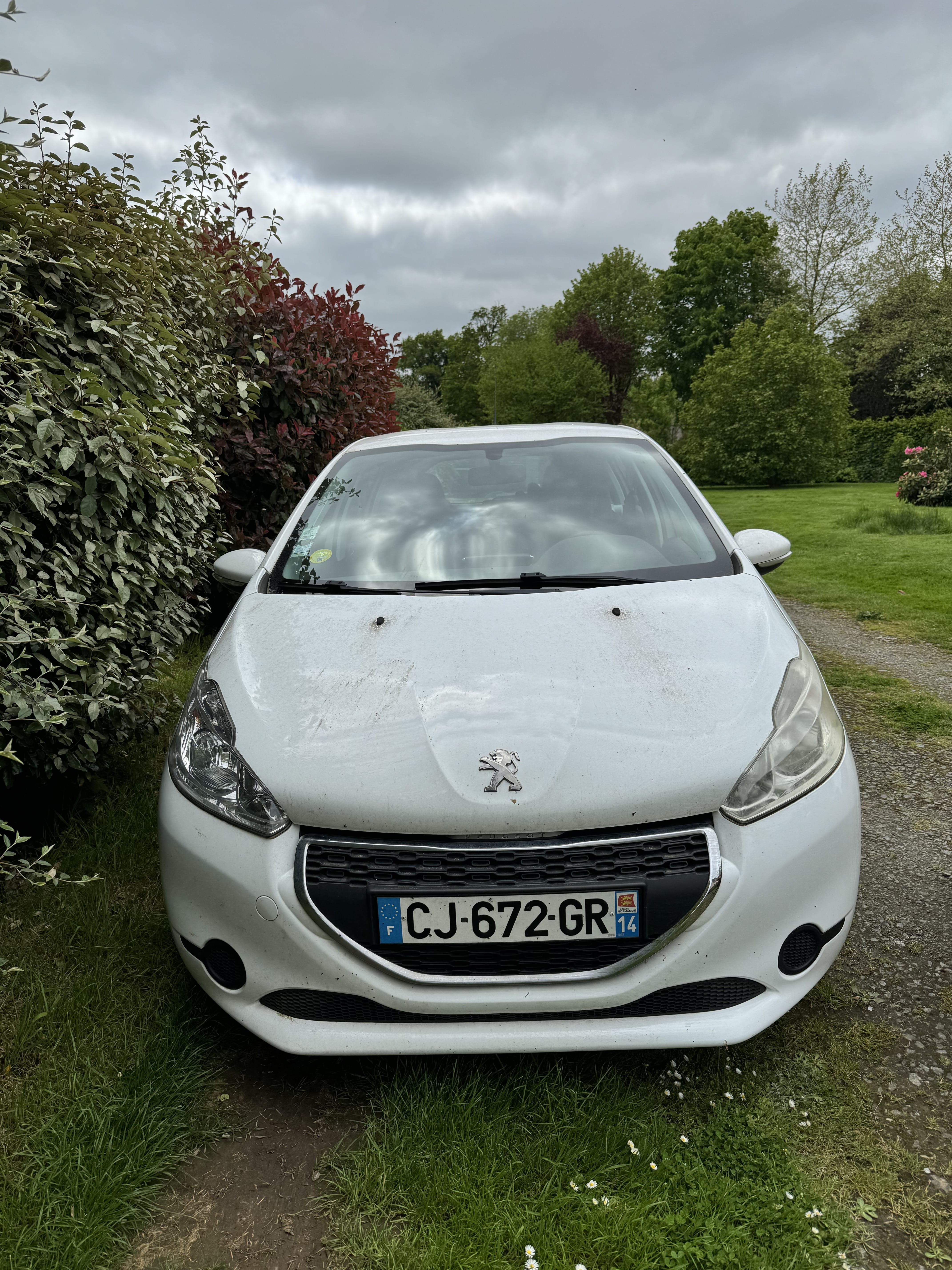 Peugeot 208, 2012, Diesel