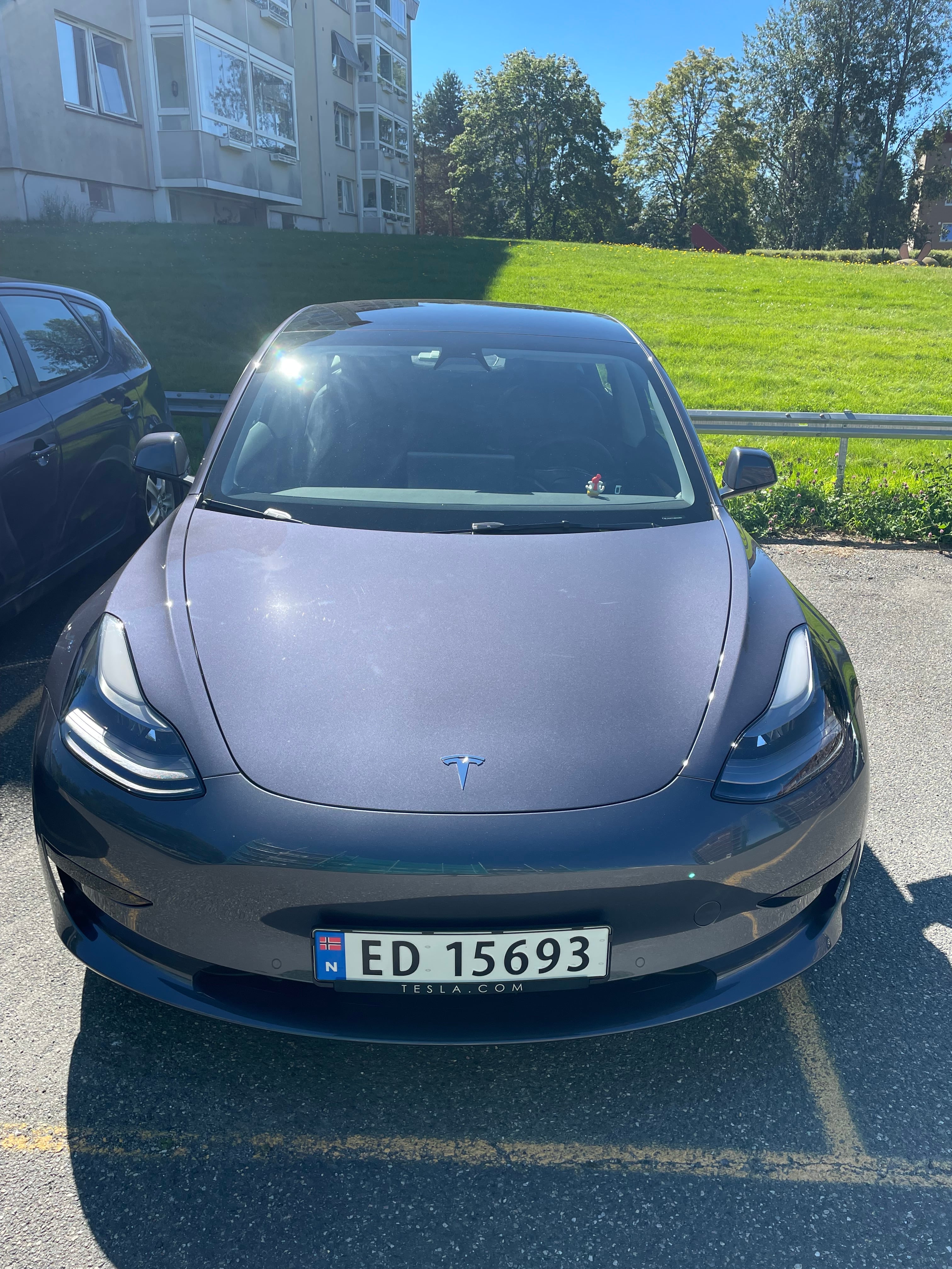 Tesla Model 3 med Cruisekontroll