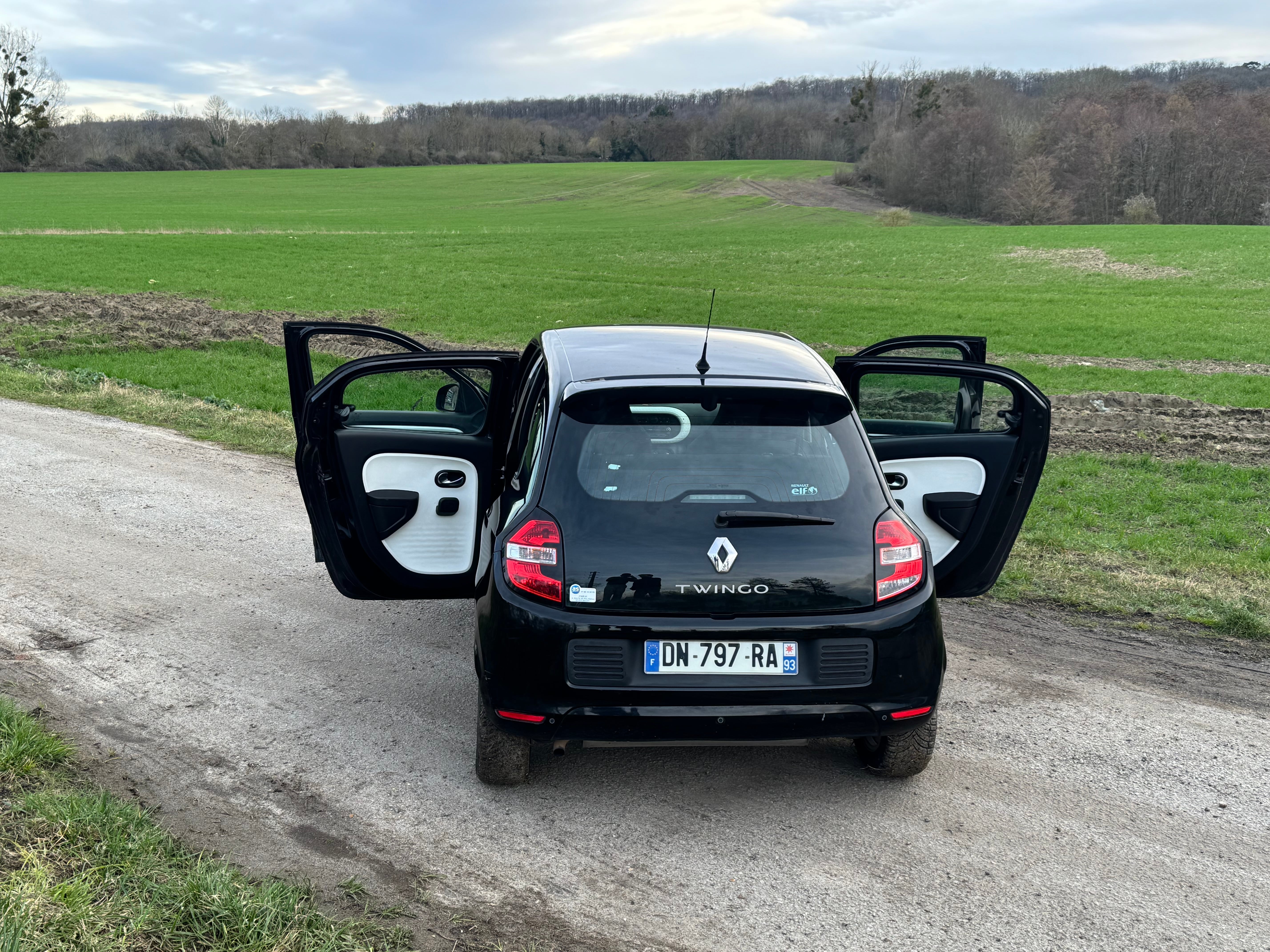 Renault Twingo III économique  Faible conso & facile à garer avec GPS