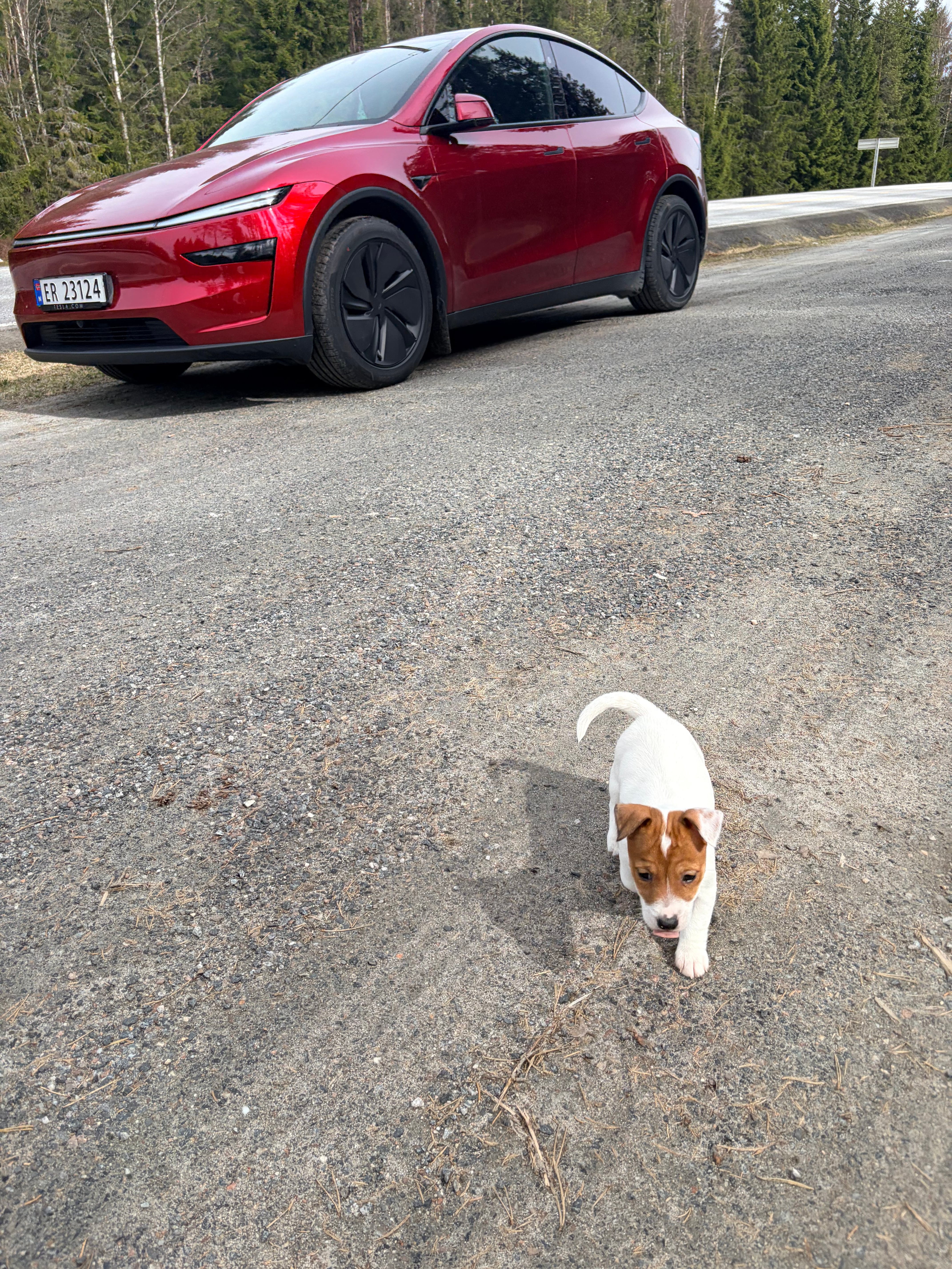 Tesla Model Y Long Range med Aircondition