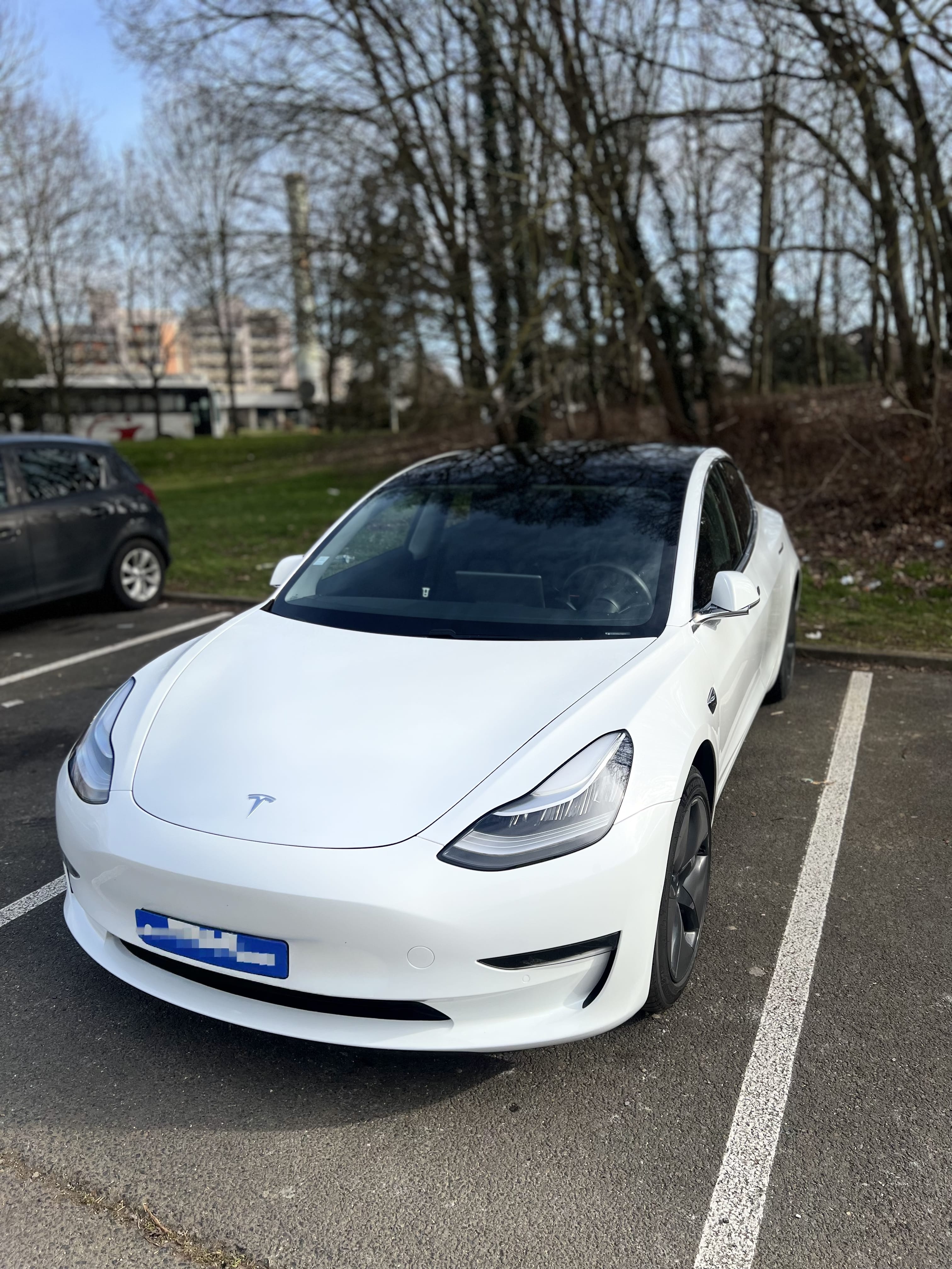 Tesla Model 3 Long Range, 2020, Électrique, automatique