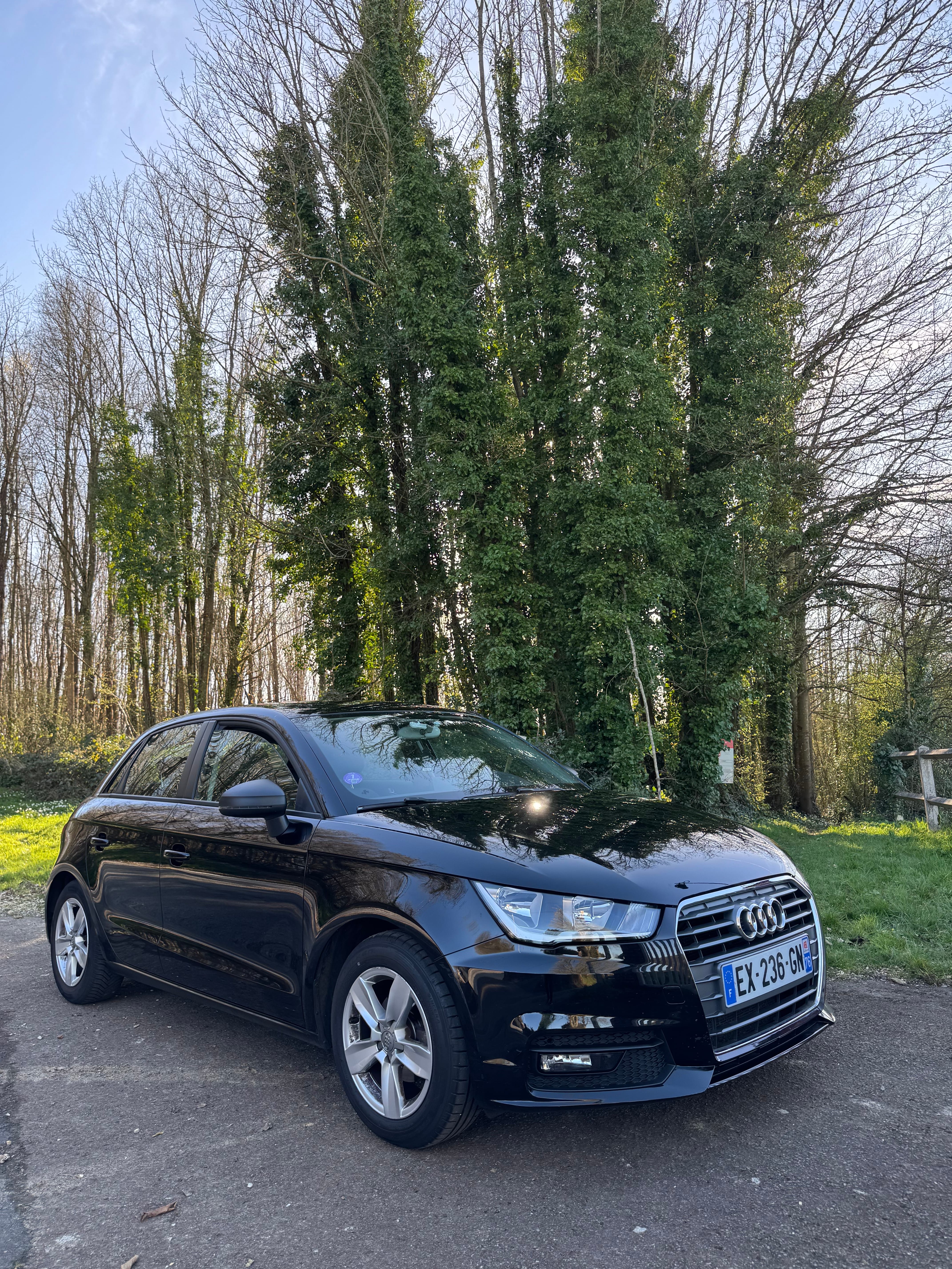 Audi A1, 2018, Essence 98