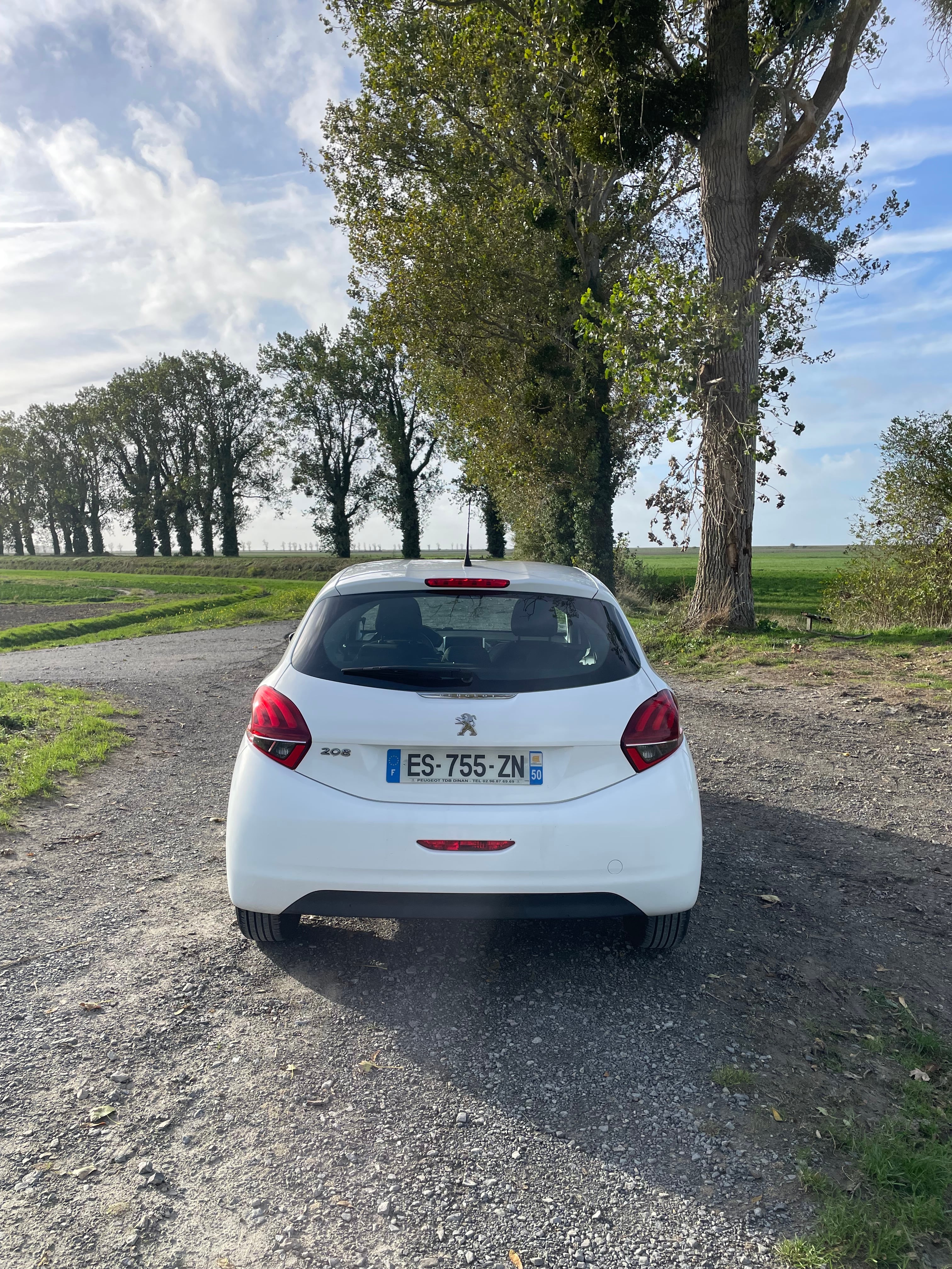 Peugeot 208 avec GPS