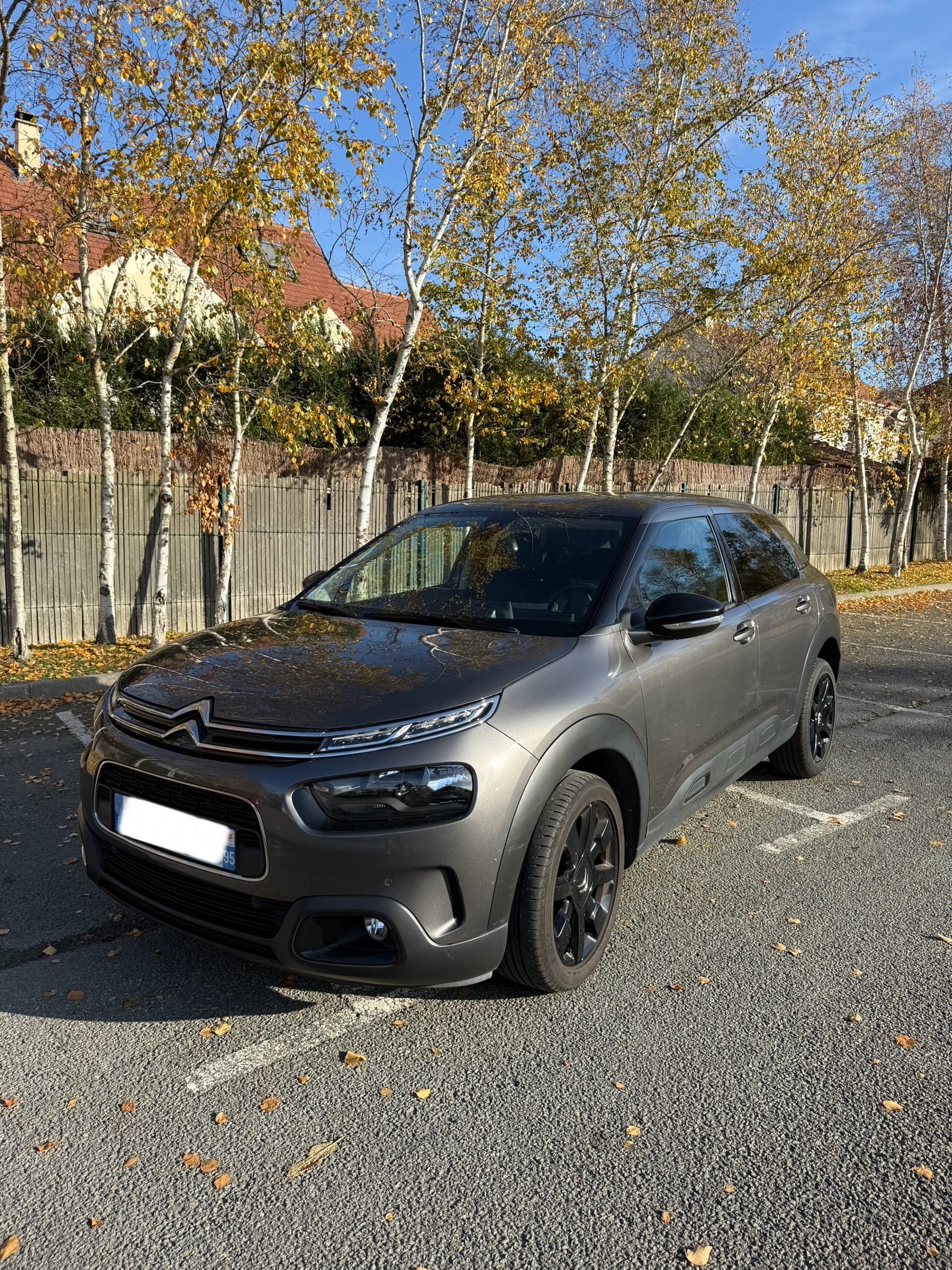 Citroen C4 Cactus, 2018, Essence 95