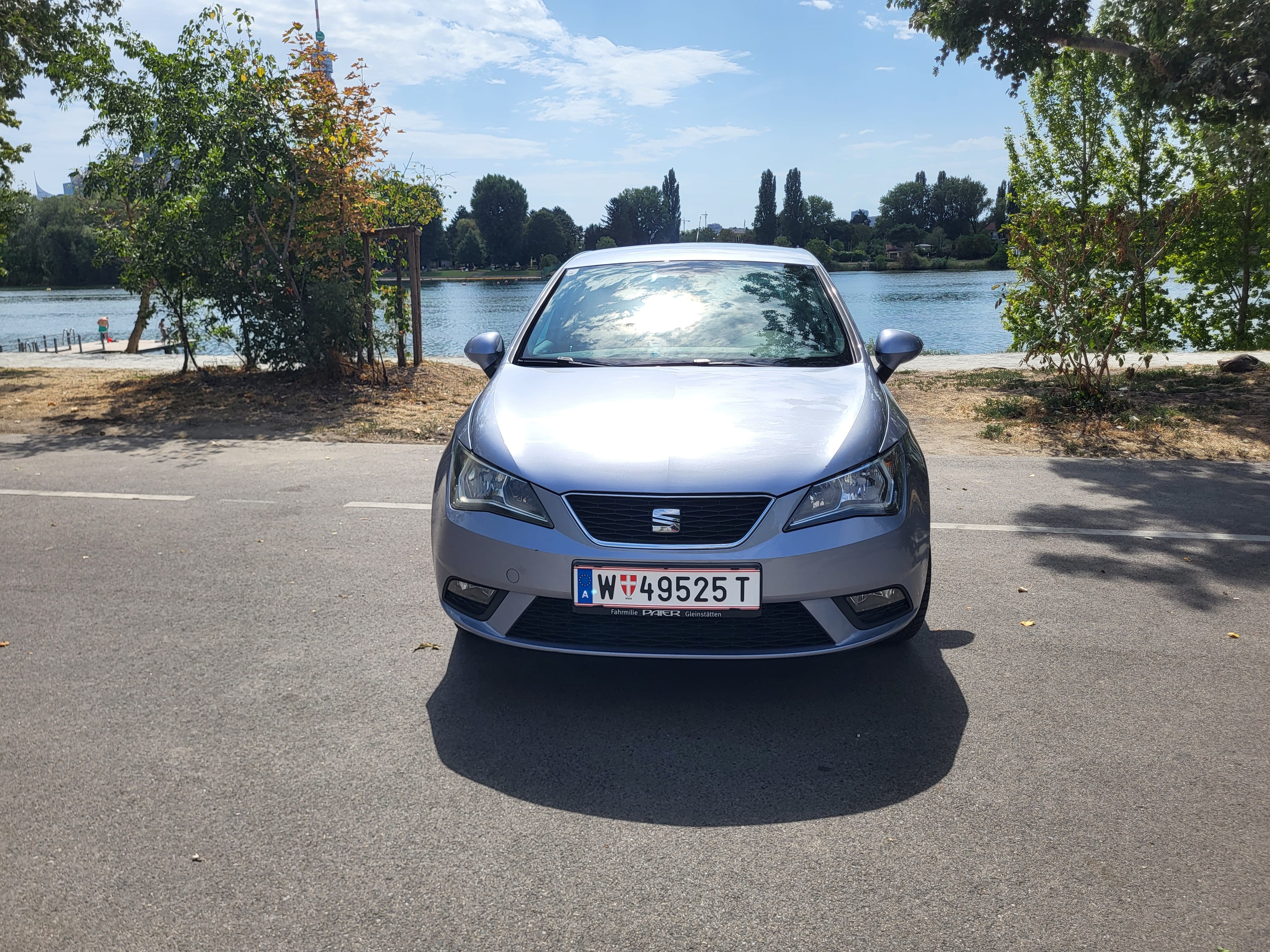 Seat Ibiza, 2015, Super 95