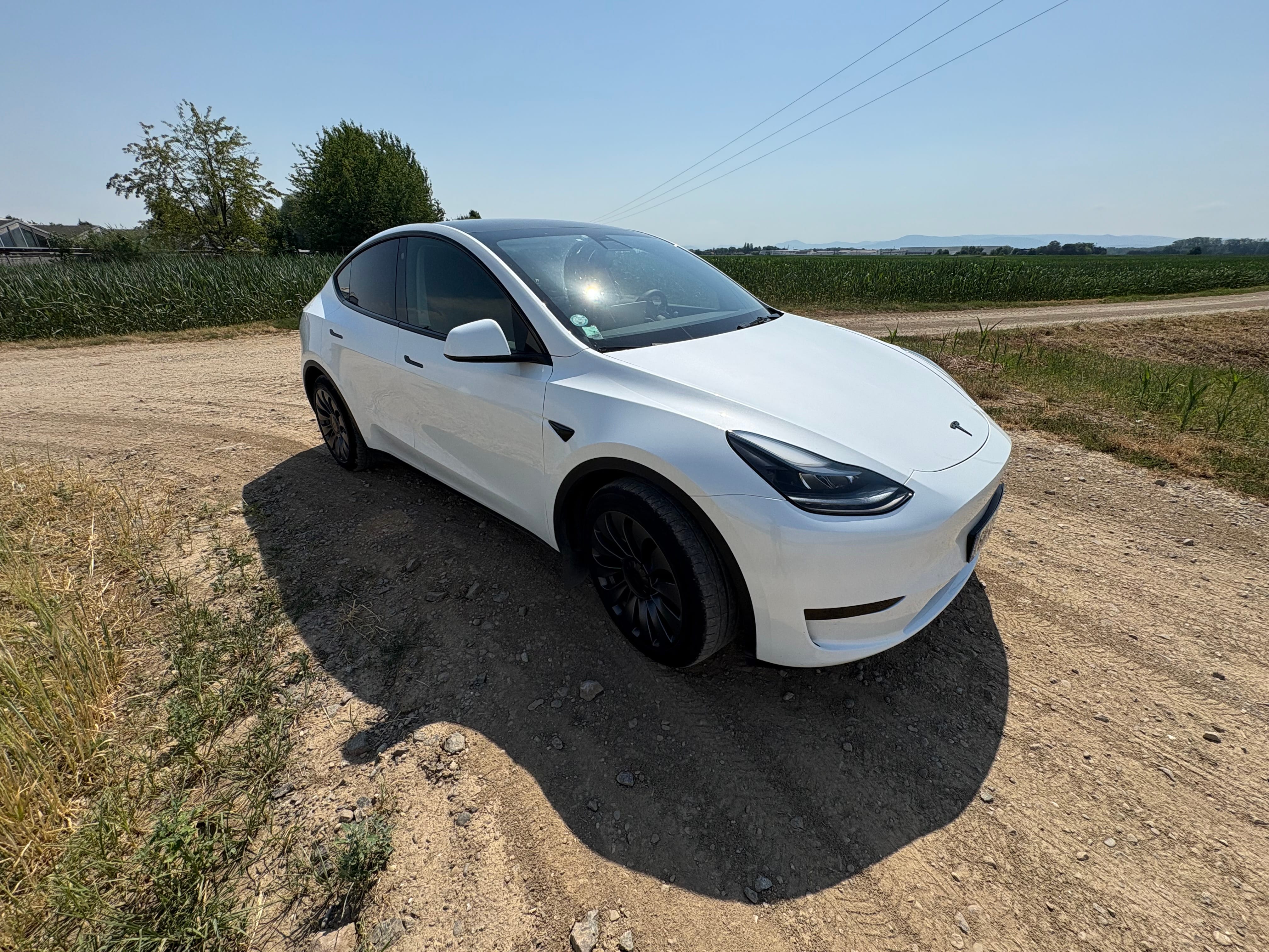 Tesla Model Y Standard Range avec GPS