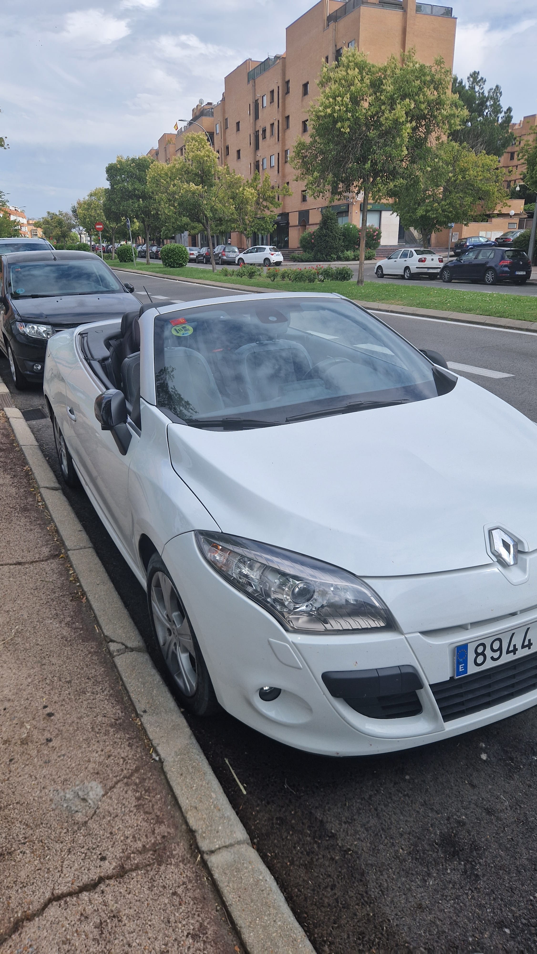 Renault Mégane CC 1.9 DCi, 2011, Diesel