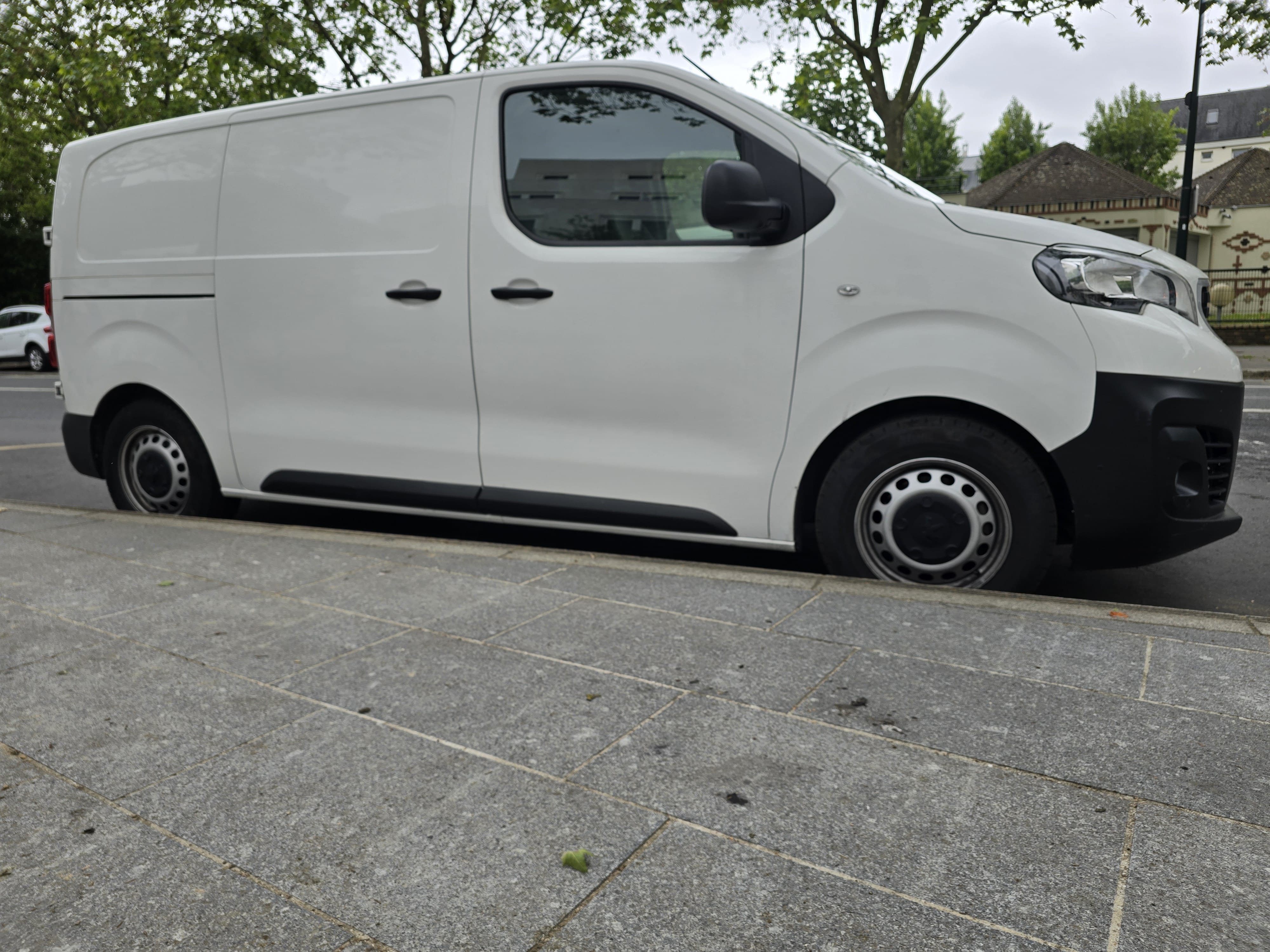 Peugeot Expert +Diable de déménagement! avec Audio Bluetooth