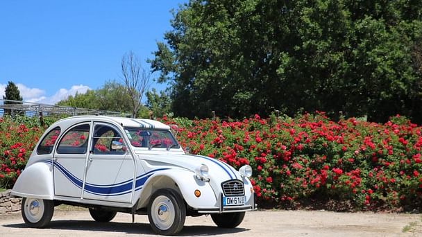 Citroen 2CV, 1989, Essence