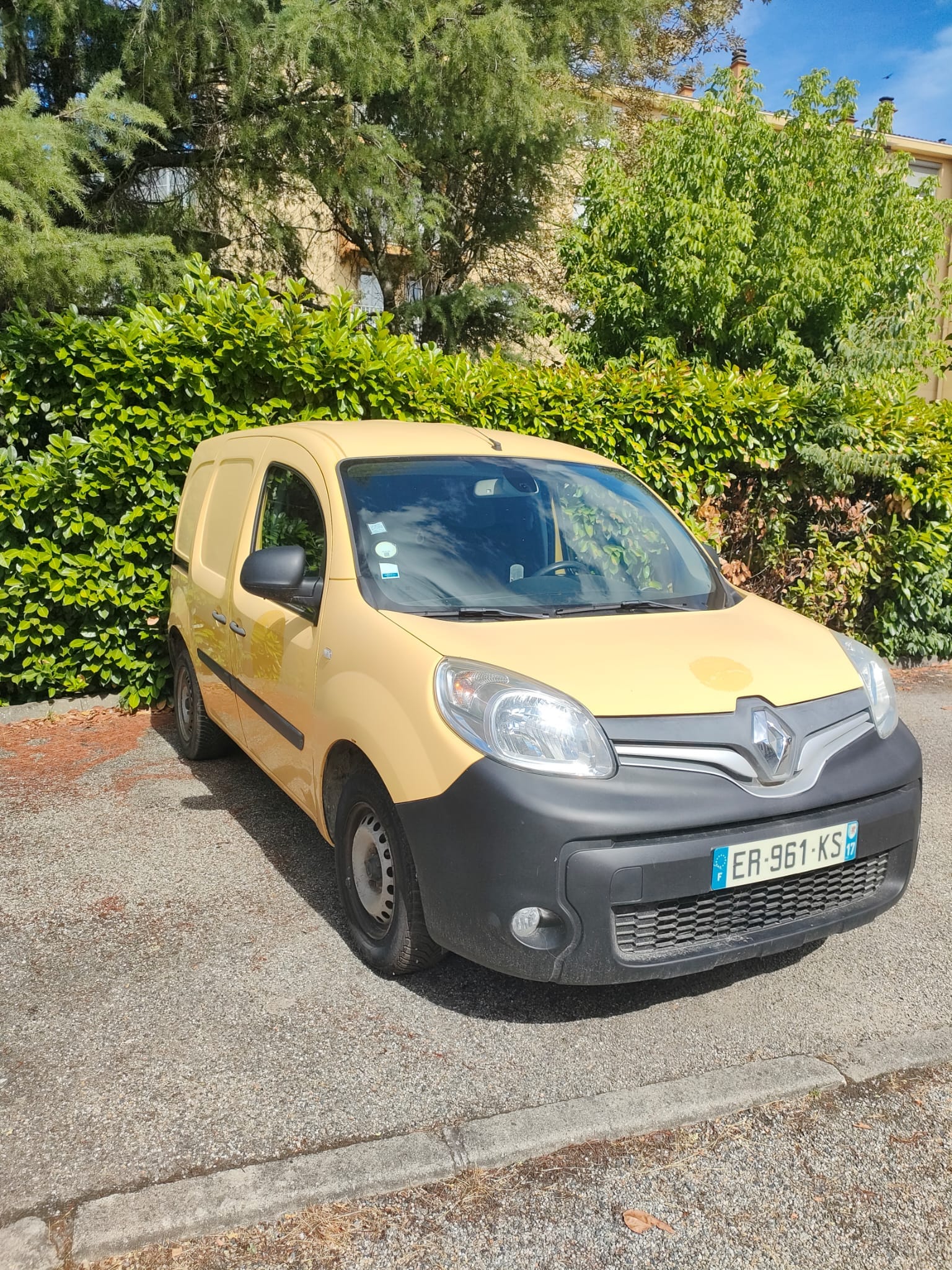 Renault Kangoo Fourgon
