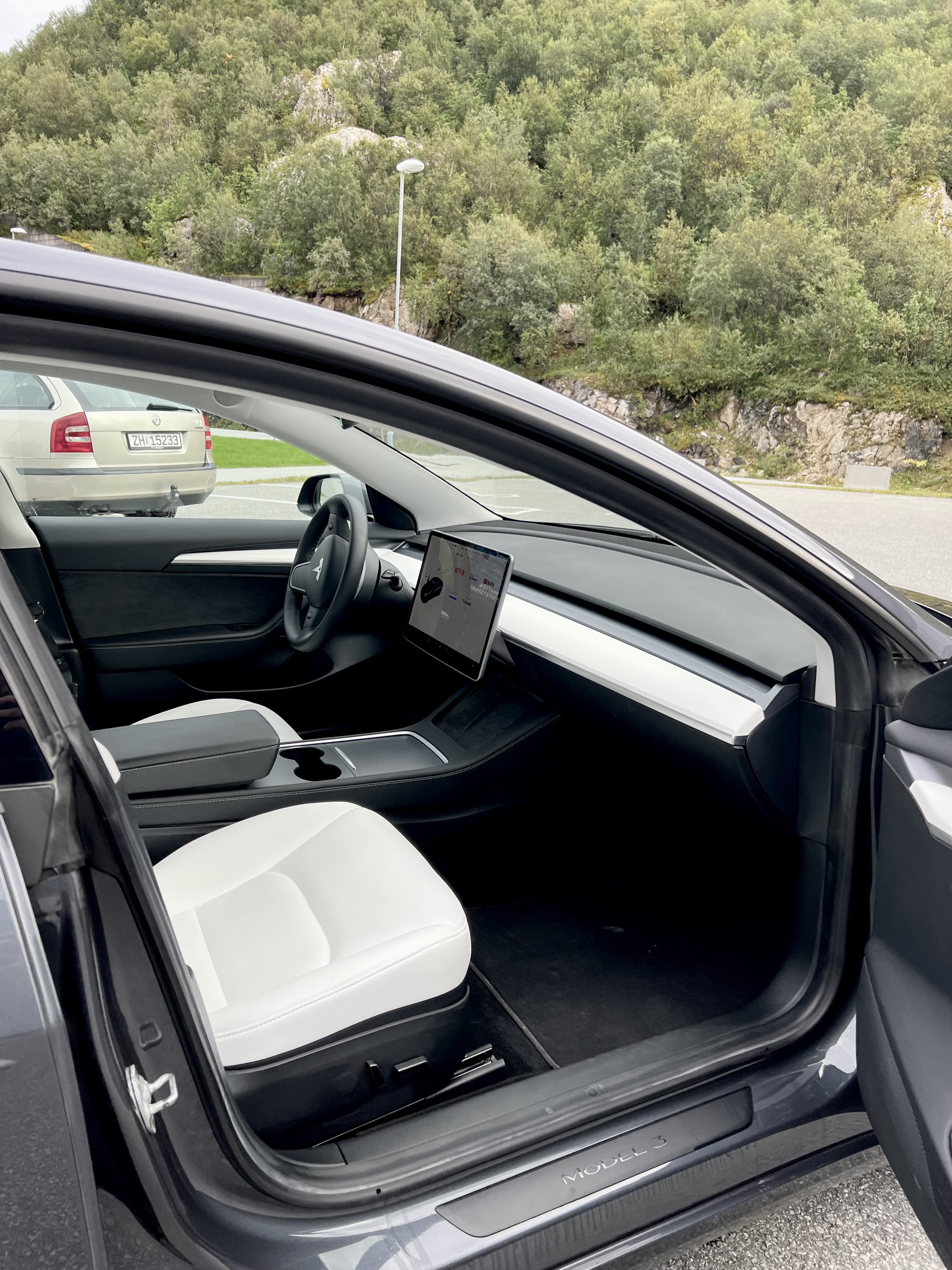 Tesla Model 3 Long Range med Bluetooth audio