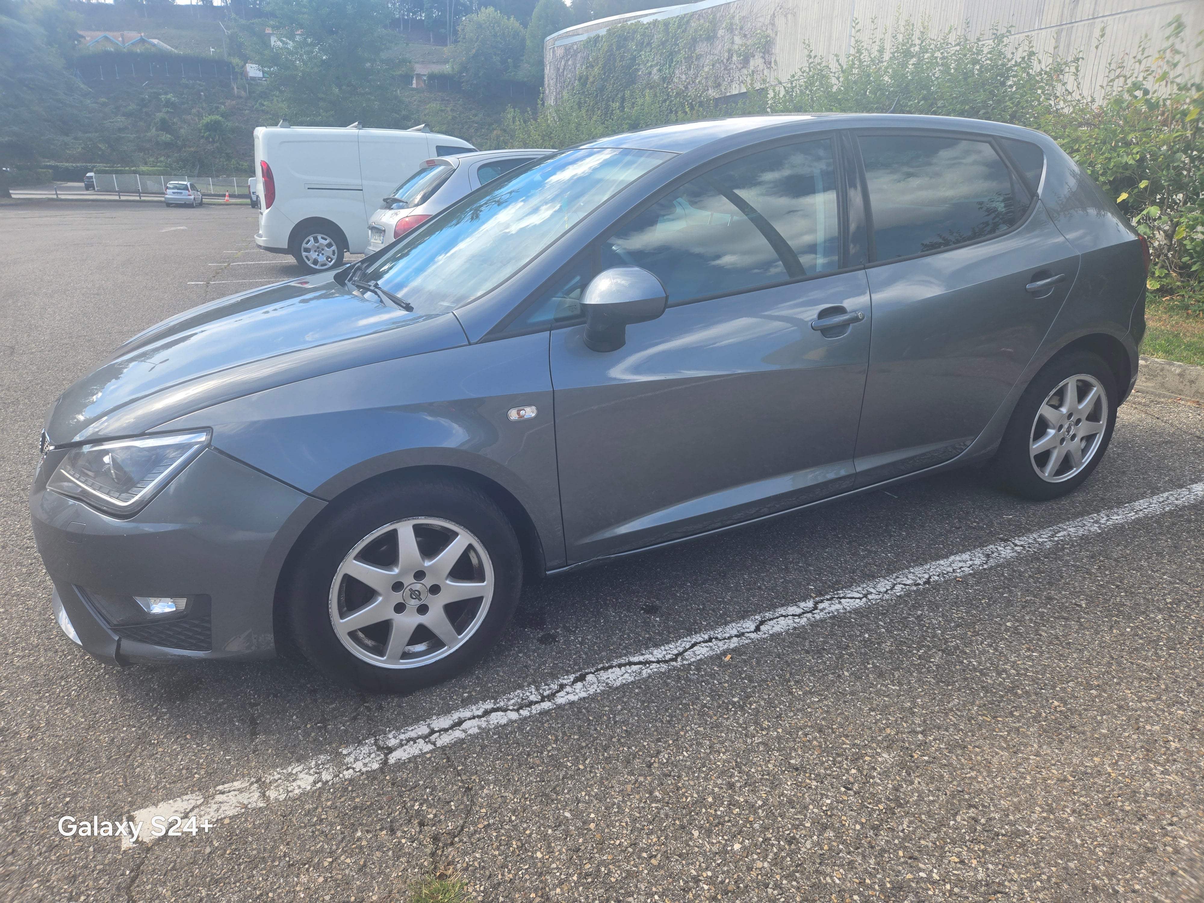 Seat Ibiza, 2013, Essence 95