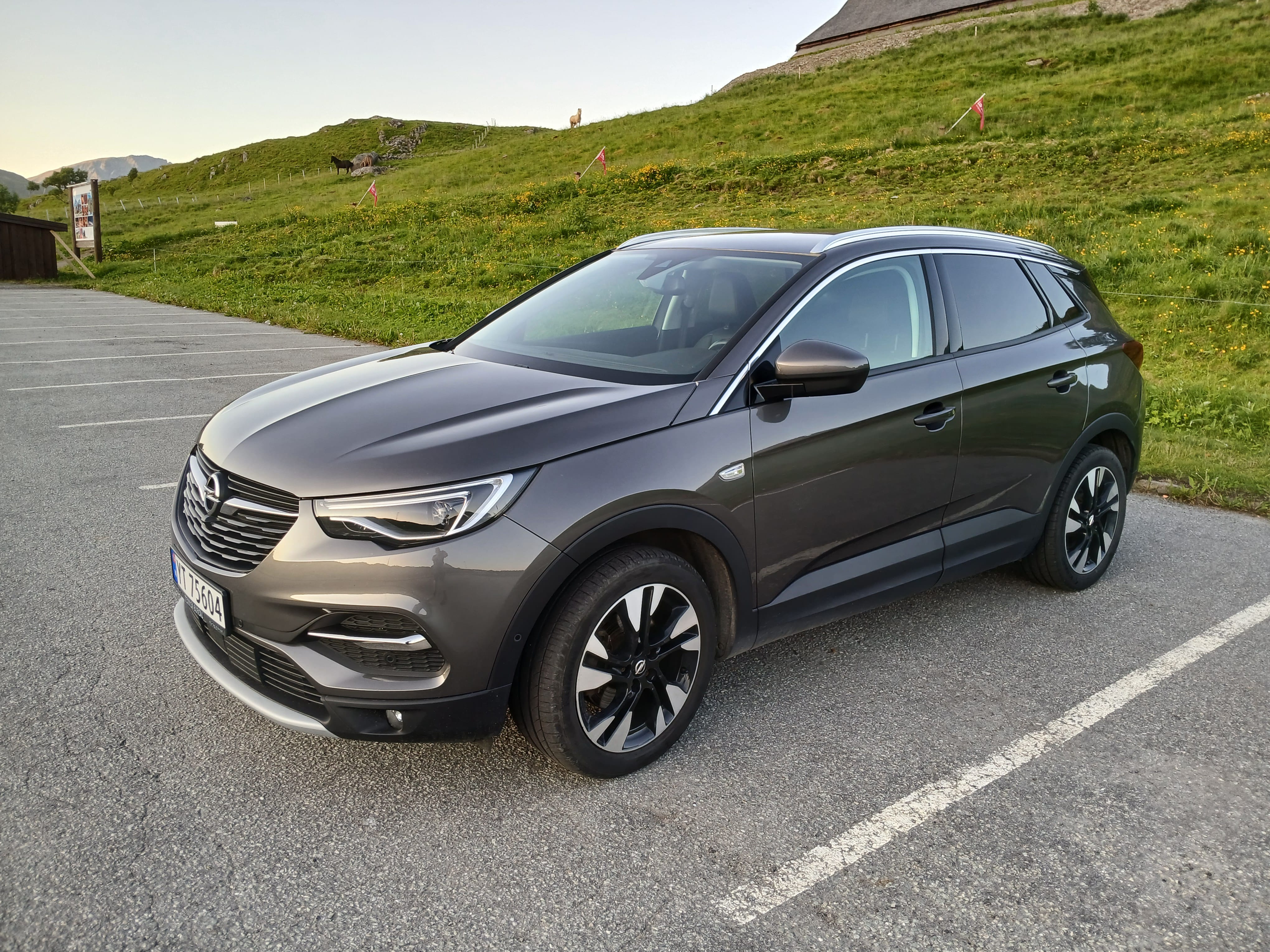 Opel Grandland X, 2021, Diesel, automatic
