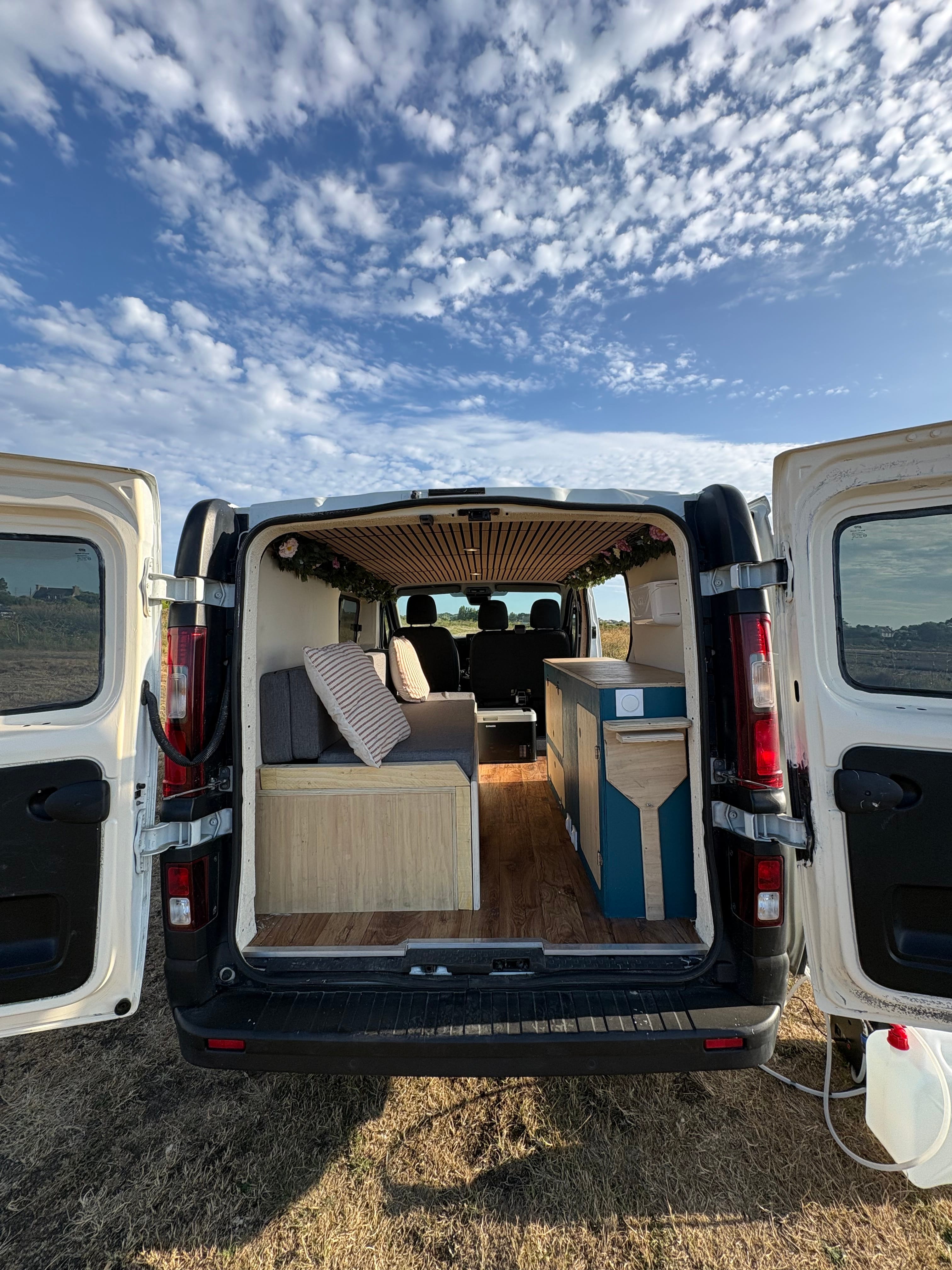 Renault Trafic Van aménagé avec Entrée audio / iPod