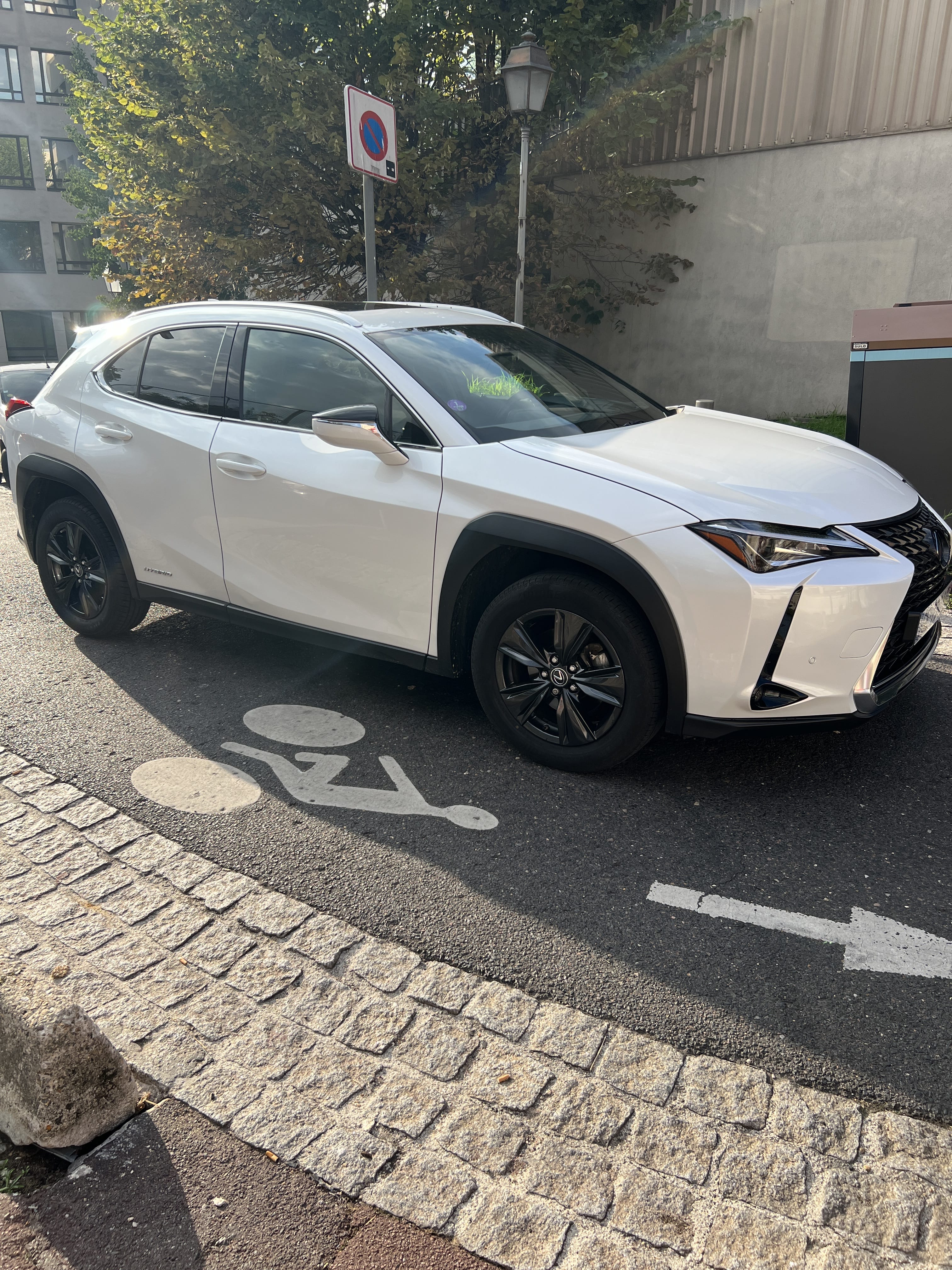 Lexus UX 250h, 2022, Diesel / Électrique (hybride), automatique