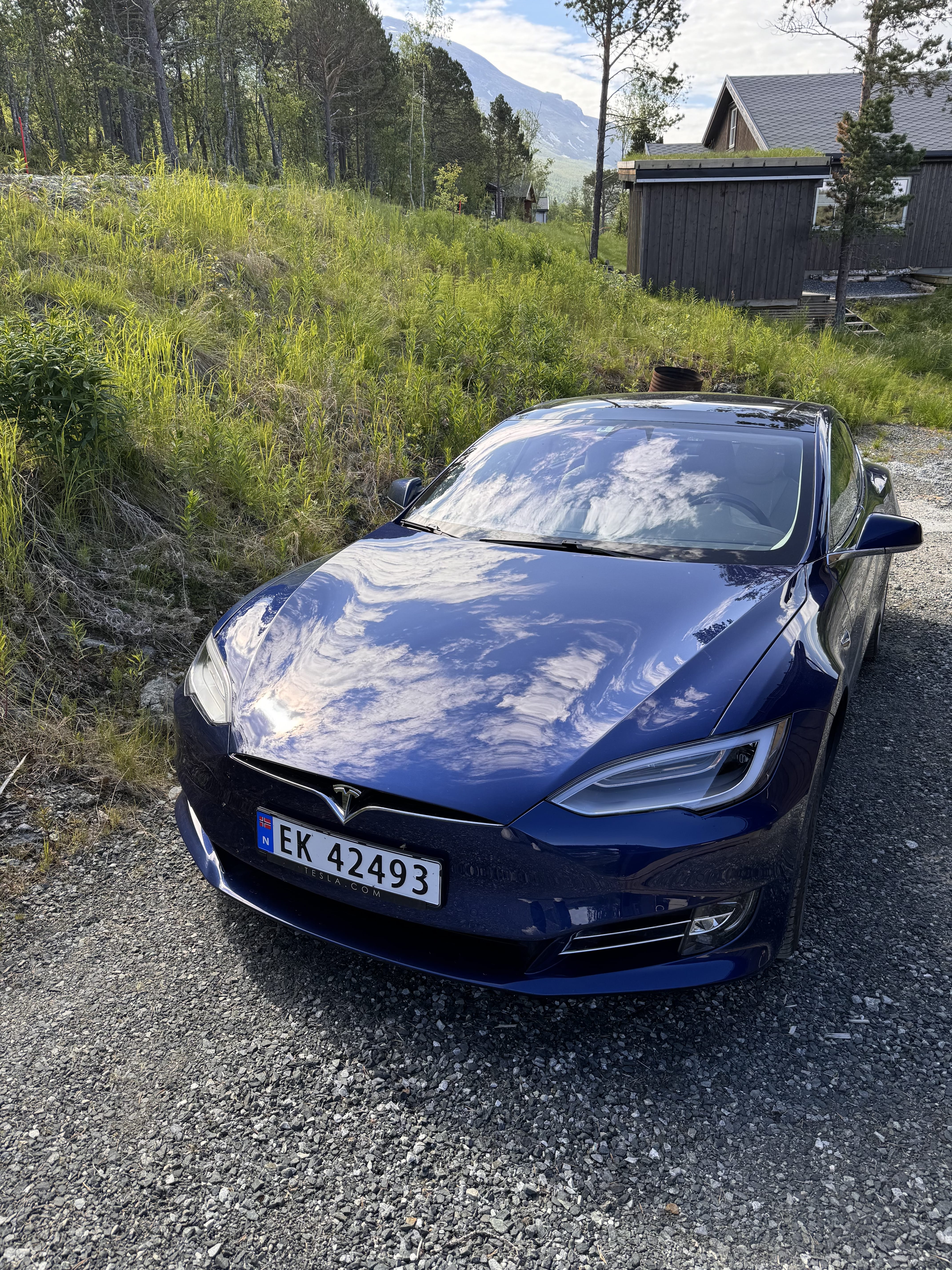 Tesla Model S met Bluetooth audio
