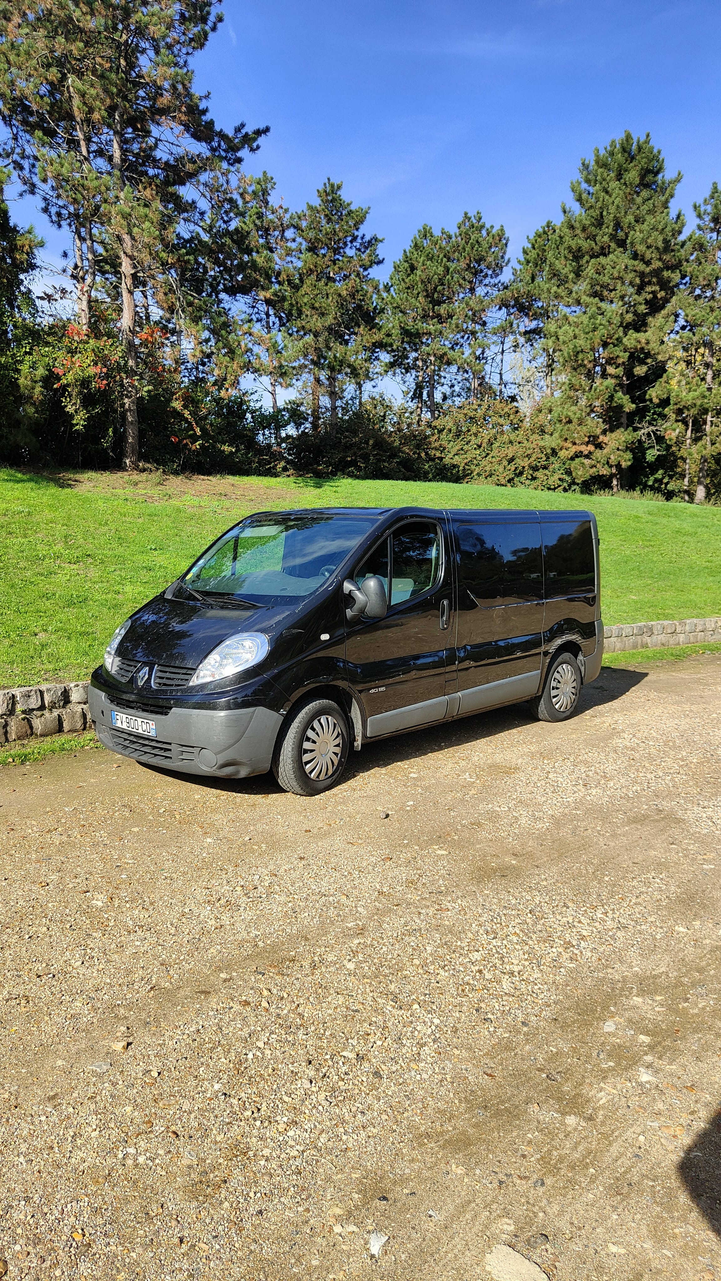 Renault Trafic, 2014, Diesel