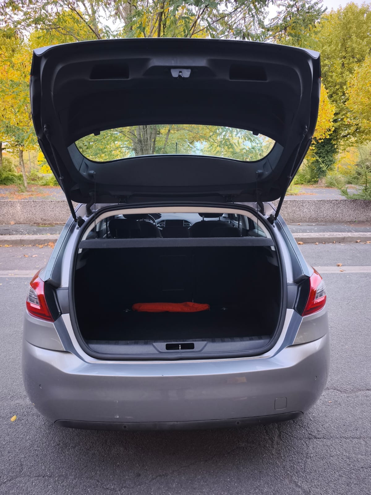 Peugeot 308 avec Entrée audio / iPod