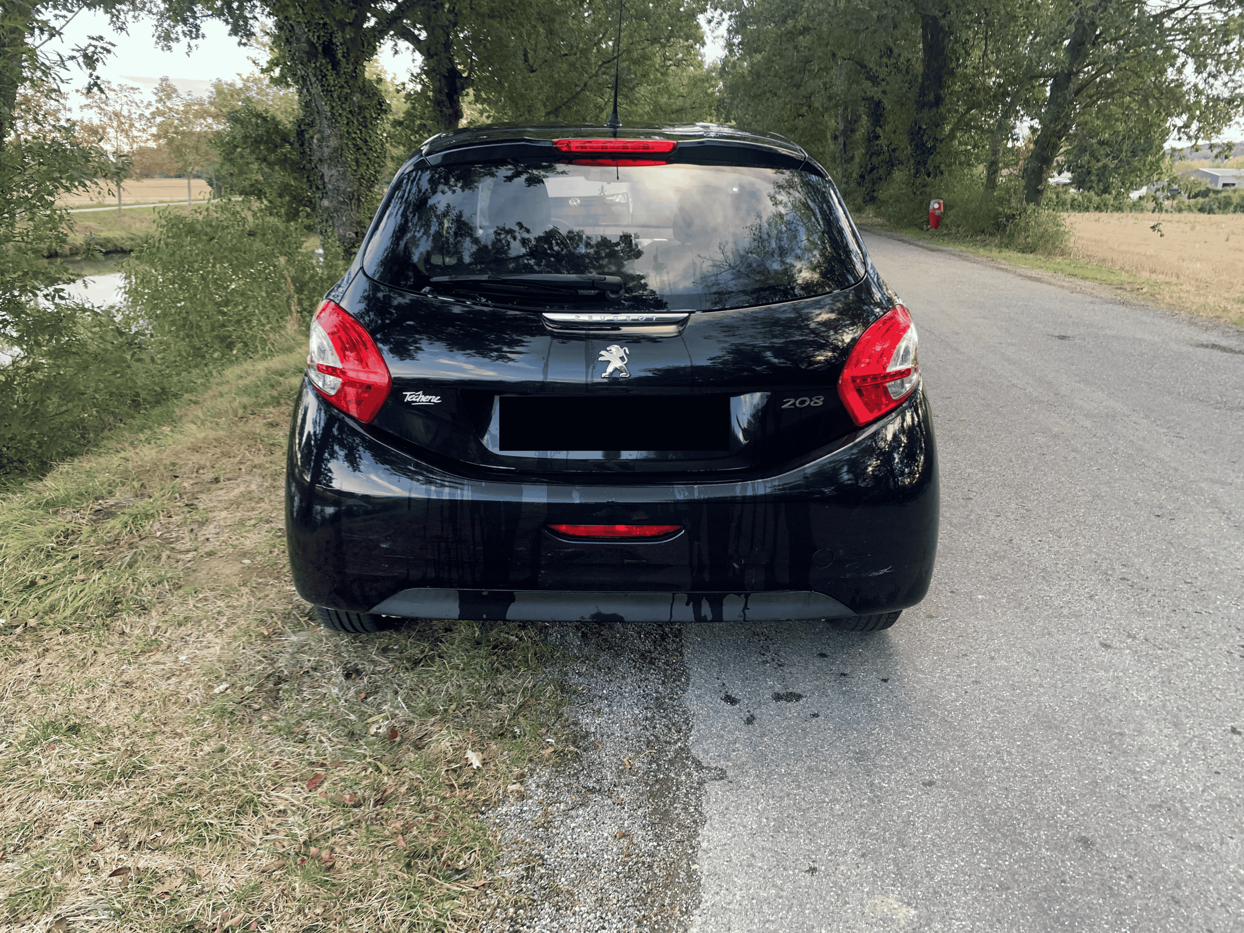 Peugeot 208 avec GPS