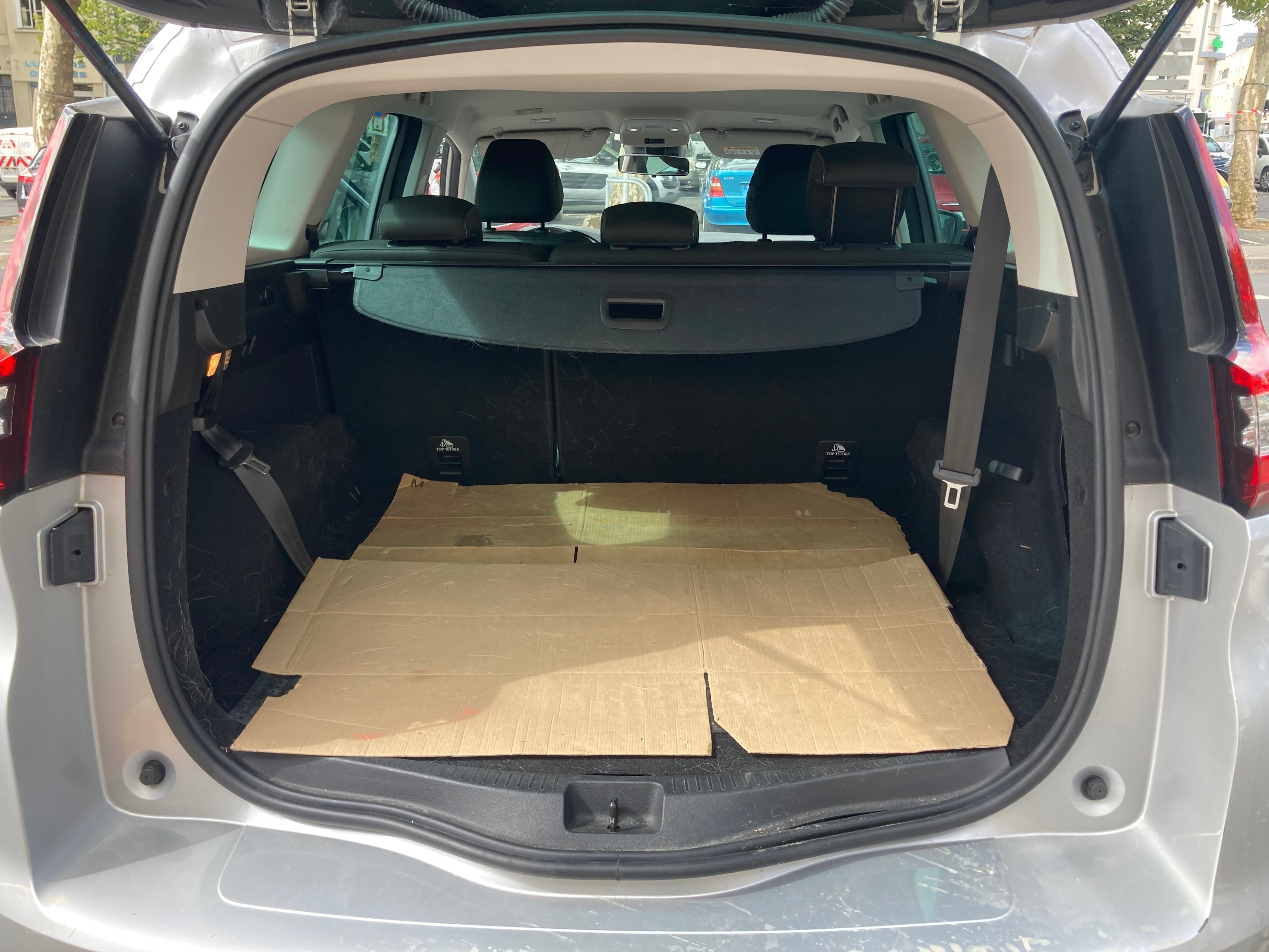 Renault Grand Scenic avec Entrée audio / iPod