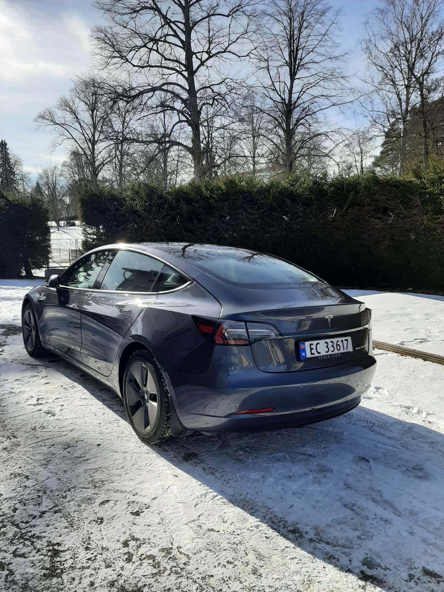 Tesla Model 3 Long Range med Ryggekamera