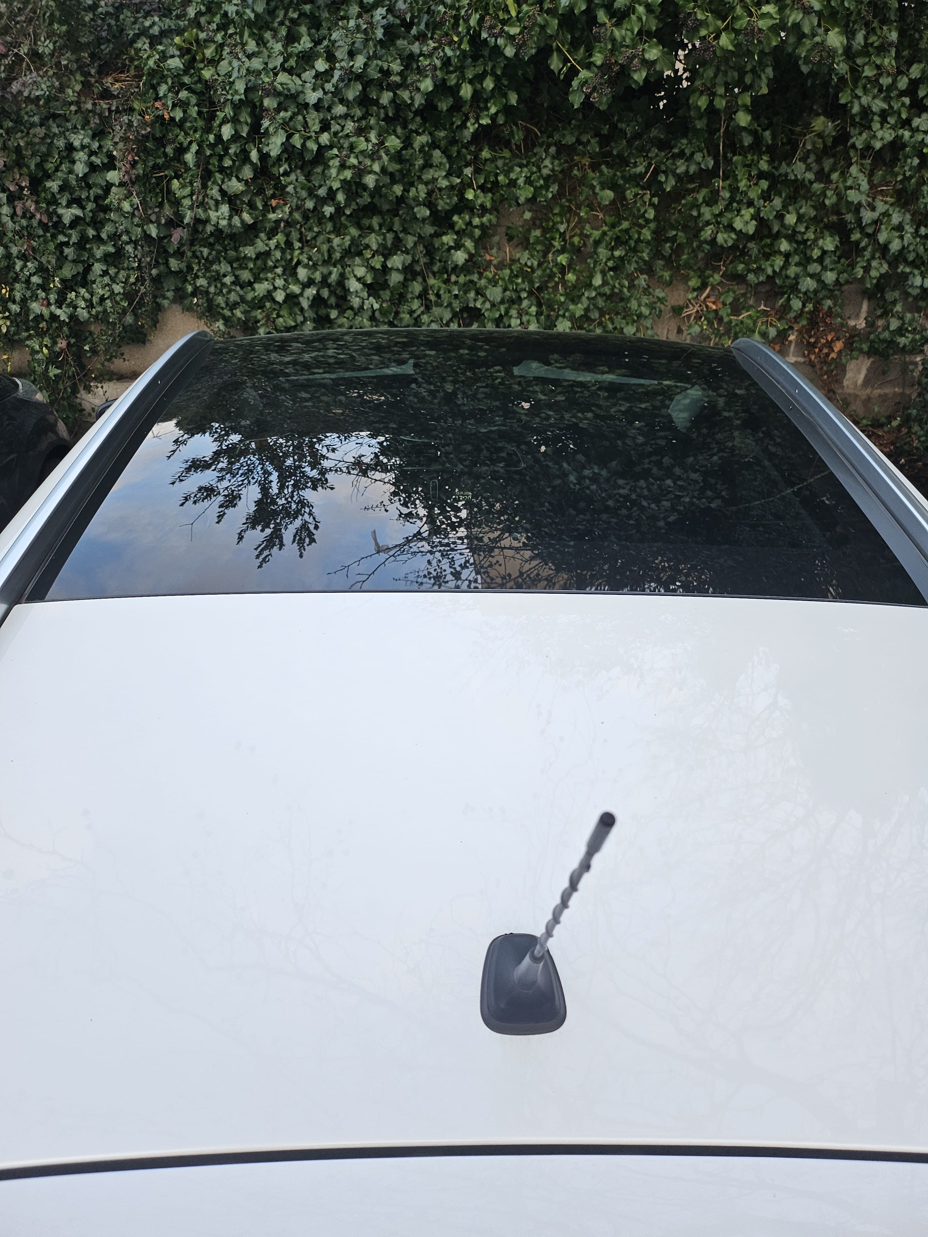 Renault Kadjar avec Régulateur de vitesse