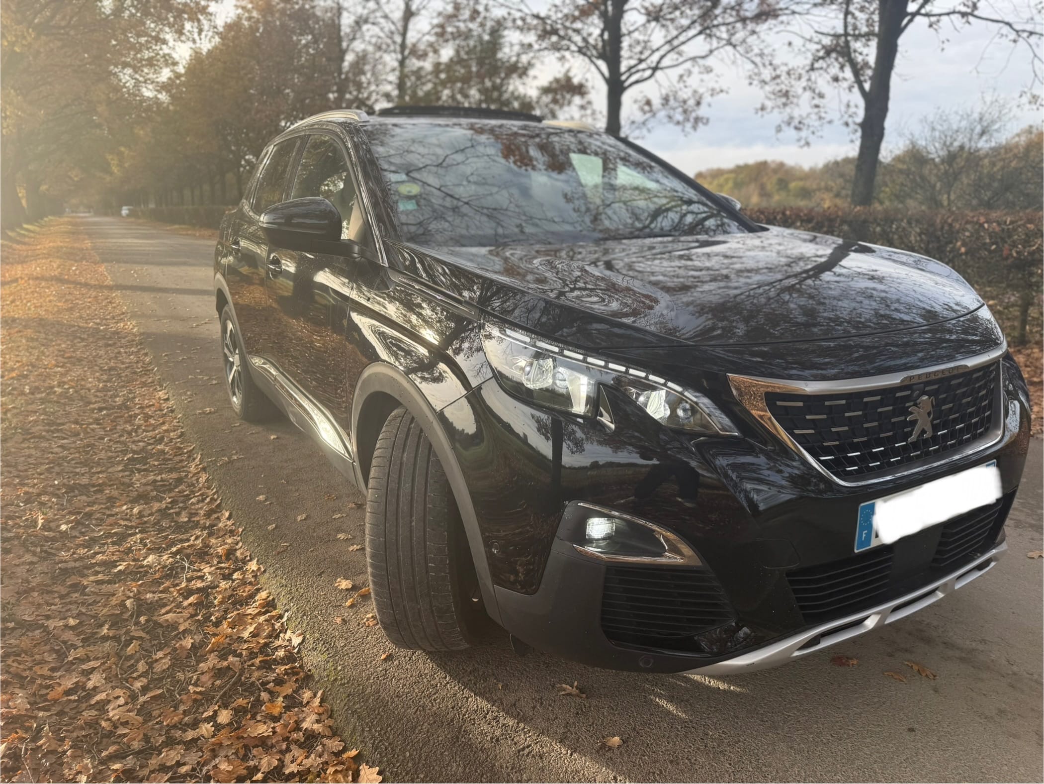 Peugeot 3008 avec Dashcam