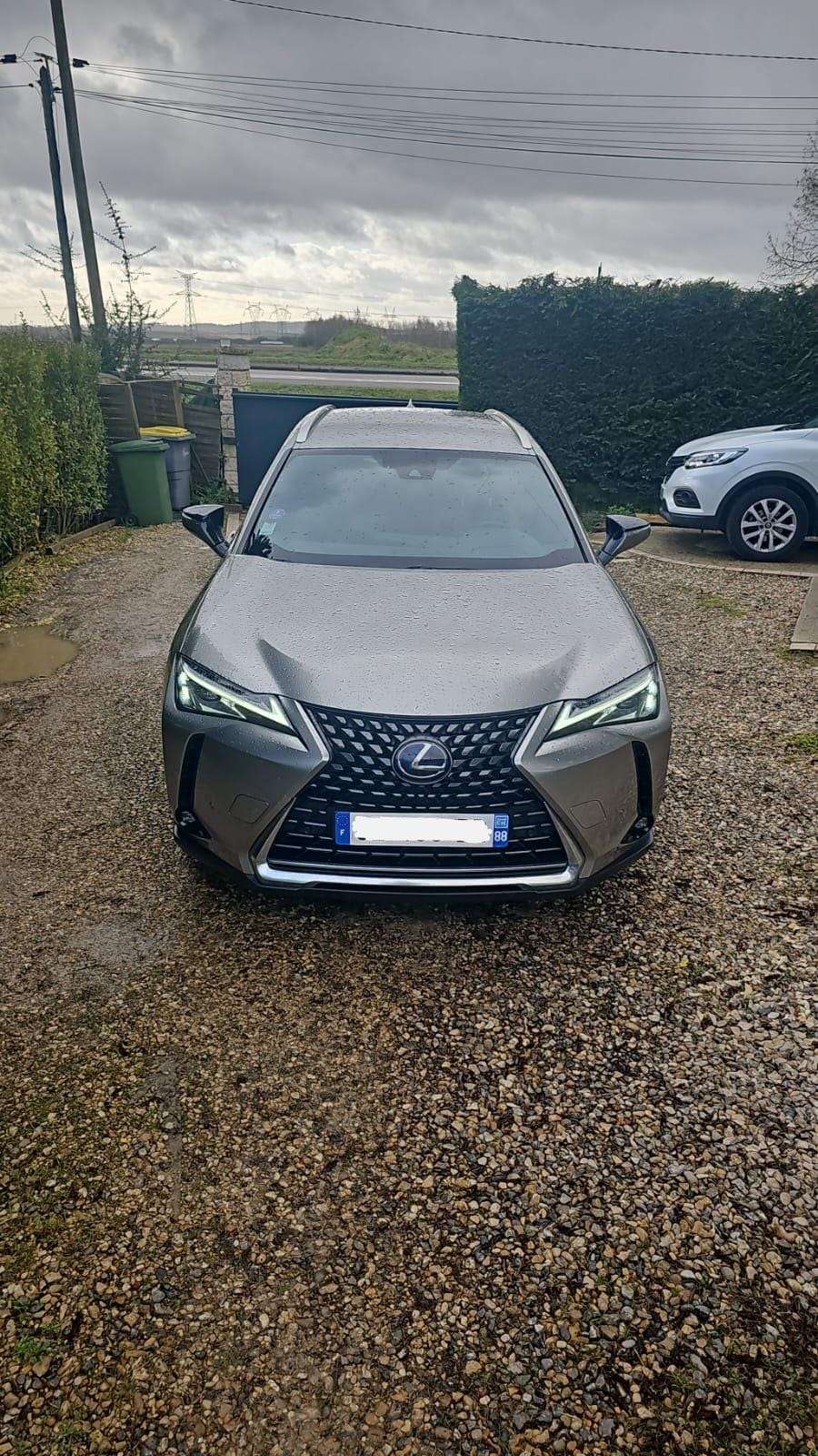 Lexus UX 250h, 2022, Essence 98 / Électrique (hybride), automatique