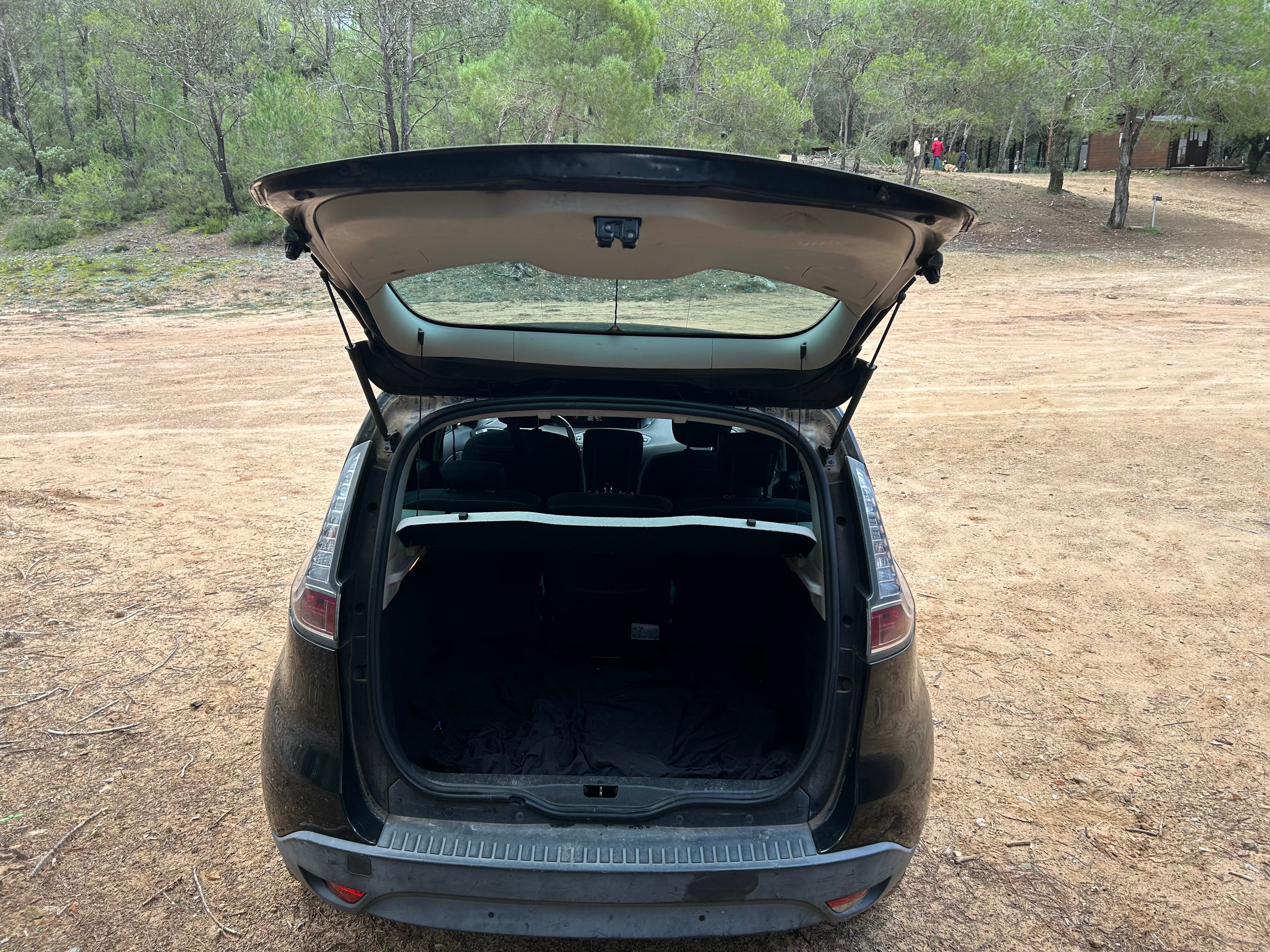 Renault Scenic avec Audio Bluetooth